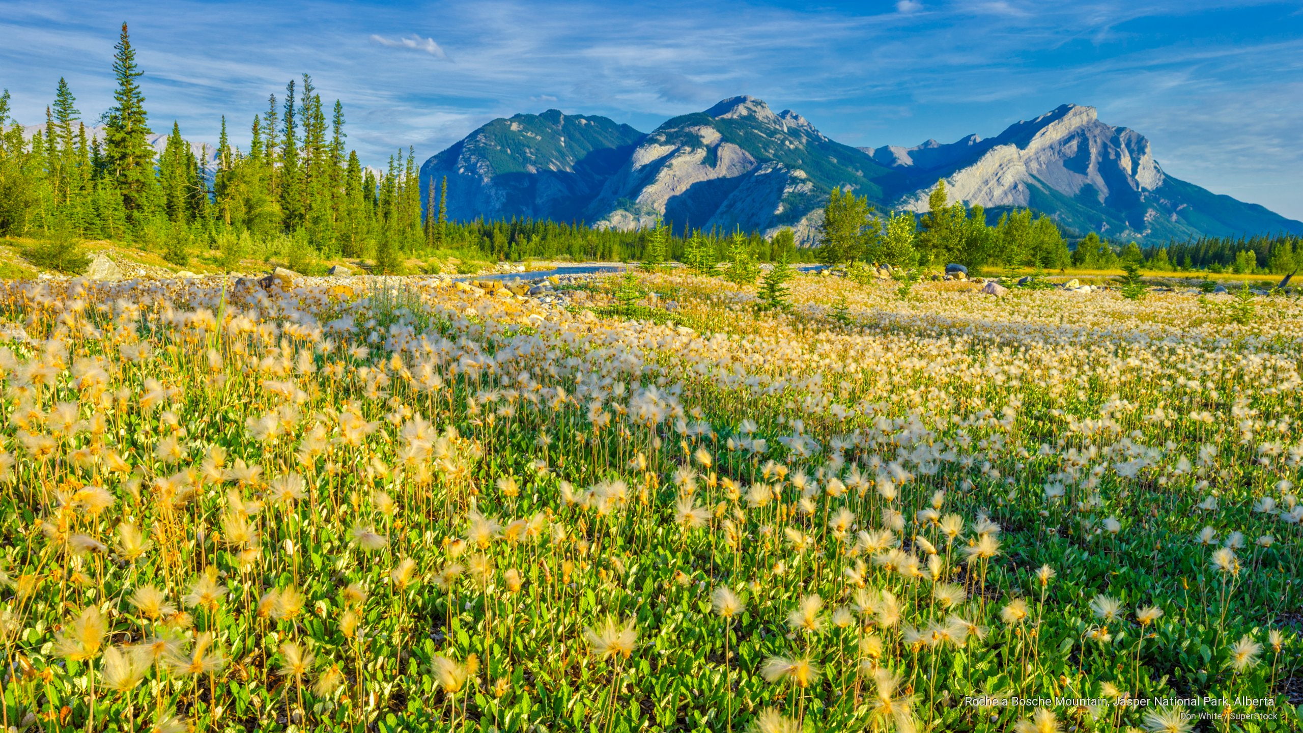 alberta, mountain, jasper, park, Mountains, national, roche, 2K, bosche, HD Wallpaper