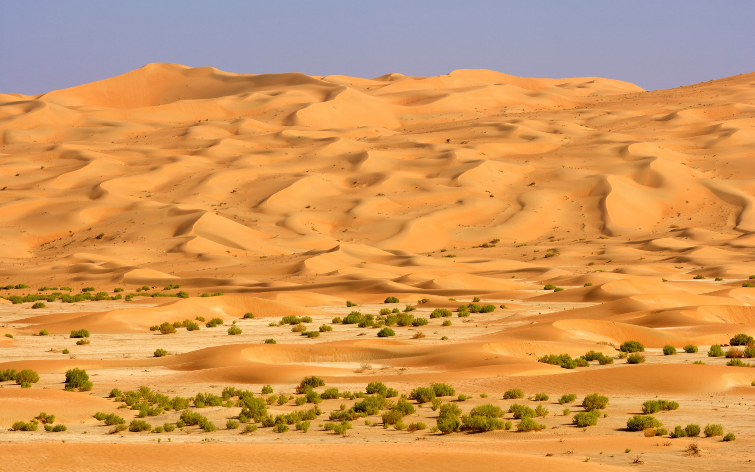 2K, saudi, hd, arabia, desert, HD Wallpaper