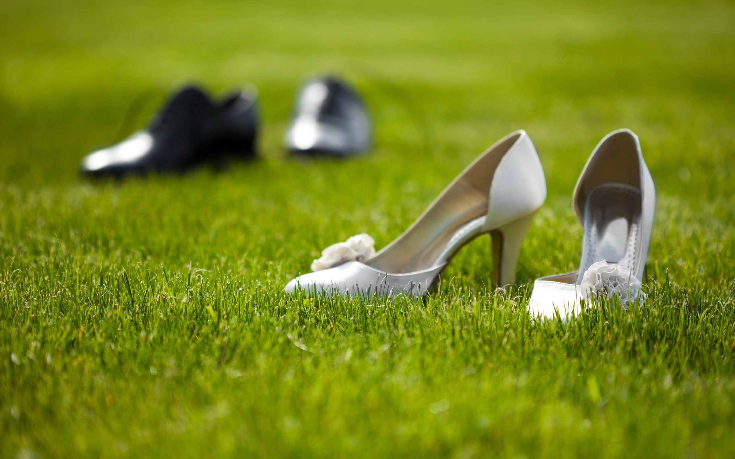 sport, 2K, close-up, day, high heels, june, selective focus, shoes, plant, shoe, white color, stiletto, nature, in a row, pair, orsay, outdoors, HD Wallpaper