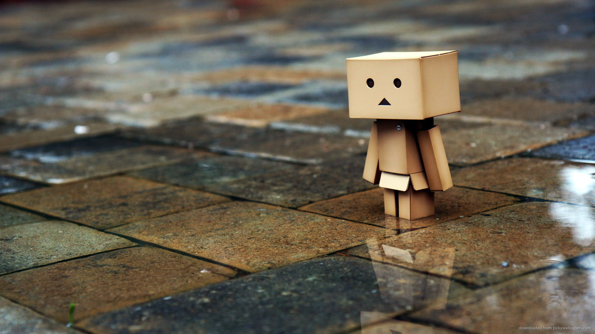creativity, photography, male likeness, rain, day, no people, tile, tiled floor, art and craft, high angle view, human representation, 1080P, flooring, HD Wallpaper