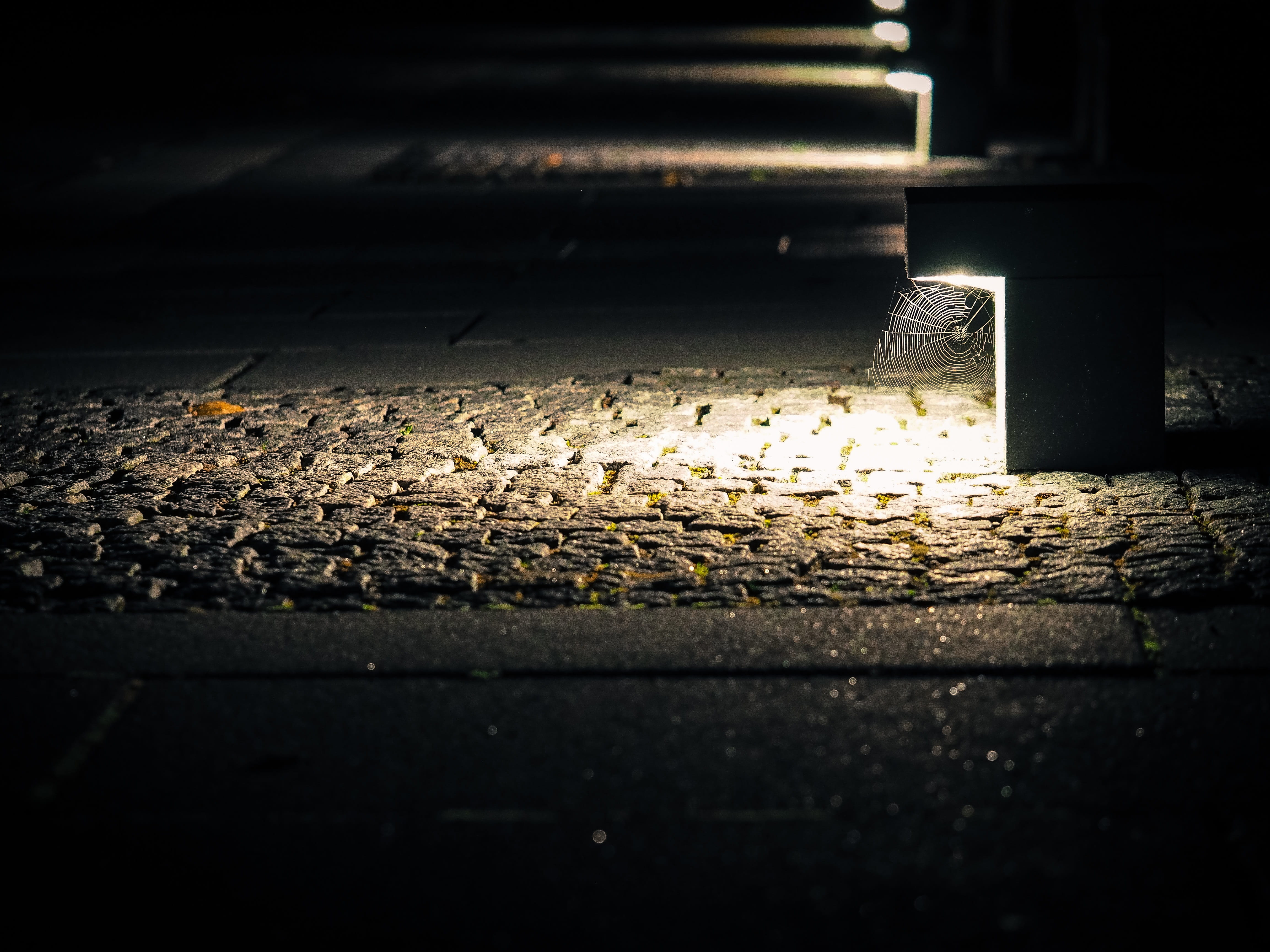 falling, close-up, nature, footpath, road, selective focus, transportation, street lamp, outdoors, wet, web, flooring, shining, lichtspiel, city, 4K, surface level, HD Wallpaper