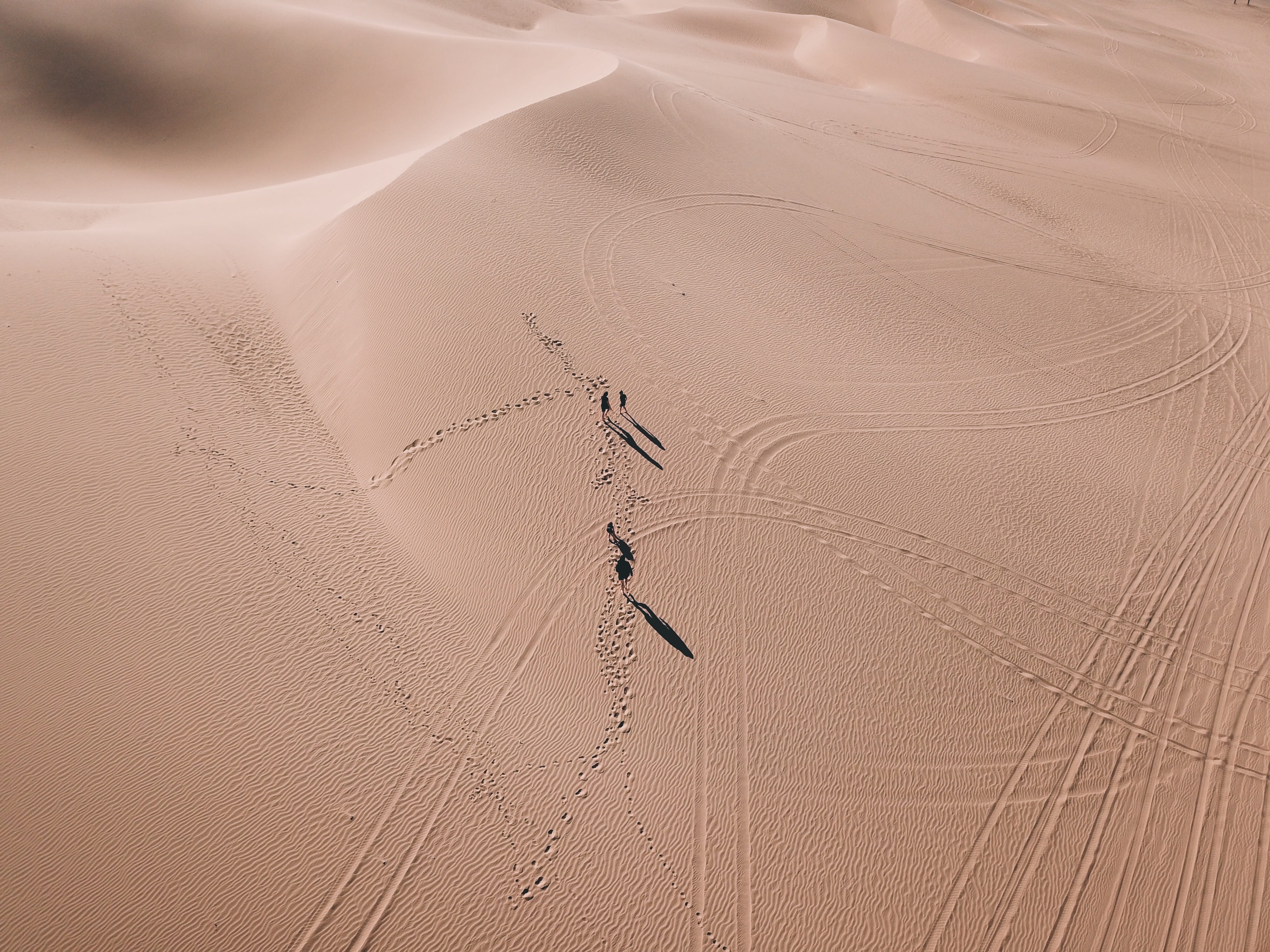 view, desert, wanderlust, walking, looking down, track - Imprint, footprint, dune, adventure, sand, person, animal, coastline, explore, aerial, drone view, HD Wallpaper