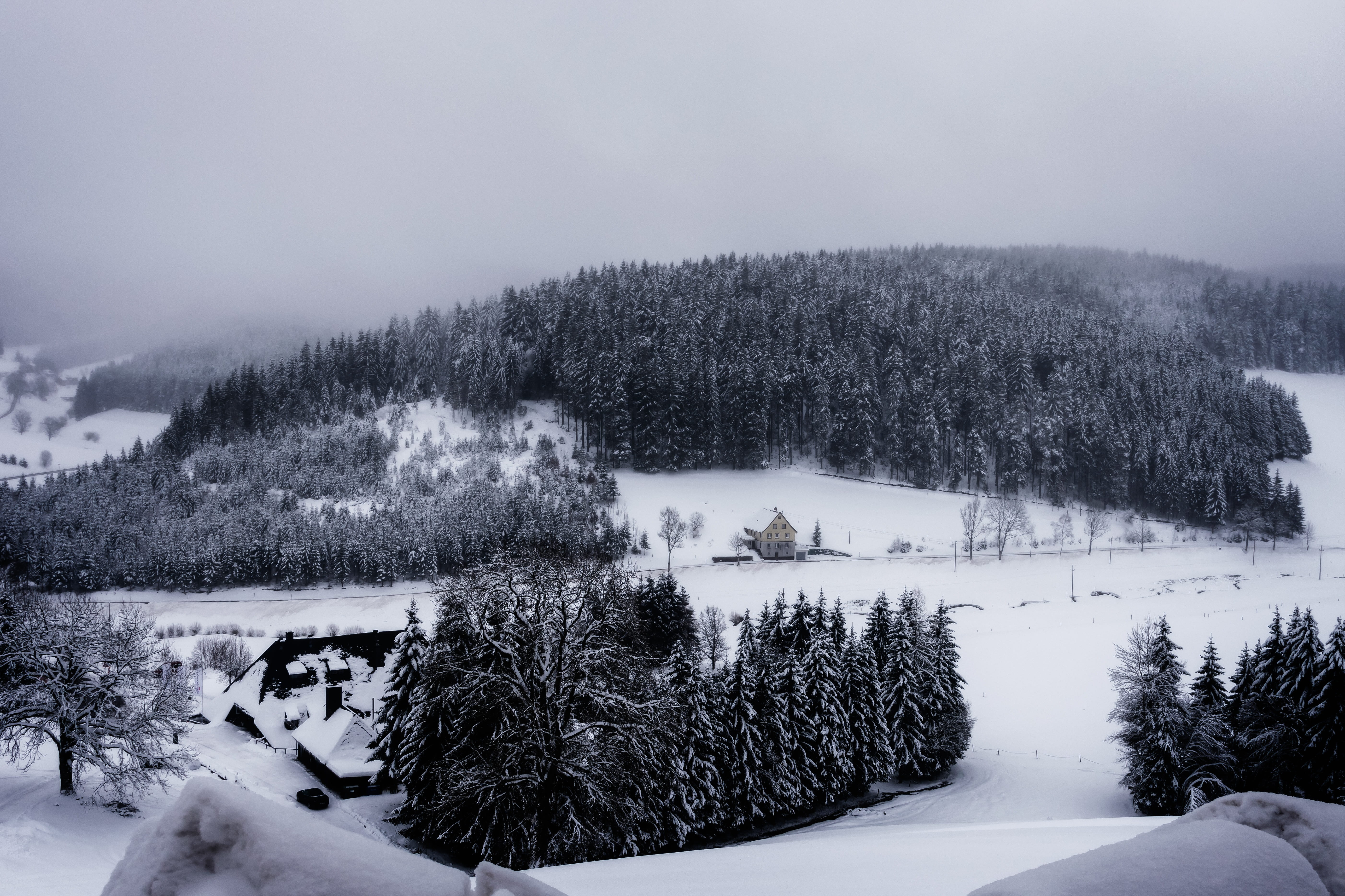 fog, 5K, land, view, nature, non-urban scene, tree, trueb, white, environment, winter, sky, water, outdoors, idyll, day, distant, outlook, tranquil scene, HD Wallpaper