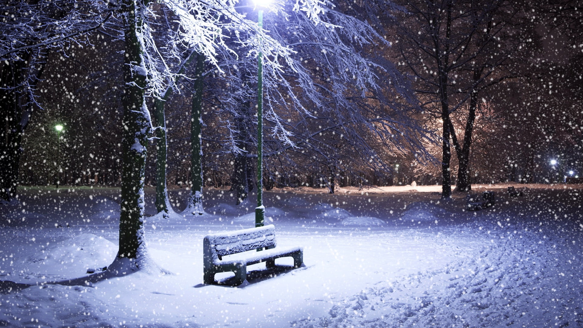precipitation, winter, outdoors, snowing, snow, weather, 1080P, light, no People, season, january, landscape, nature, lamp, backgrounds, cold - Temperature, HD Wallpaper