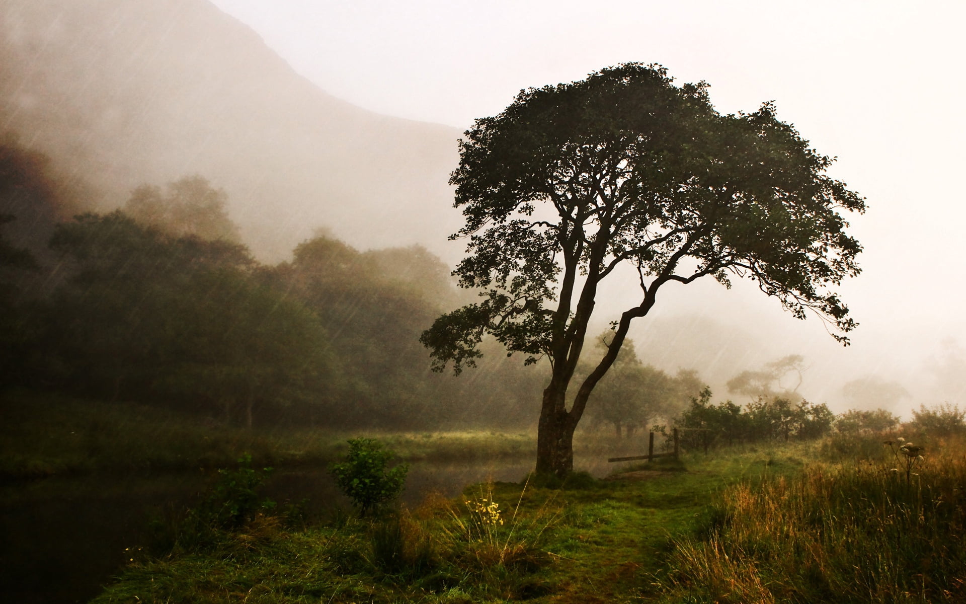 sun, dawn, tranquility, no People, rain, dusk, scenics - nature, non-Urban Scene, land, mist, sunlight, bad weather, green, despondency, backgrounds, morning, HD Wallpaper