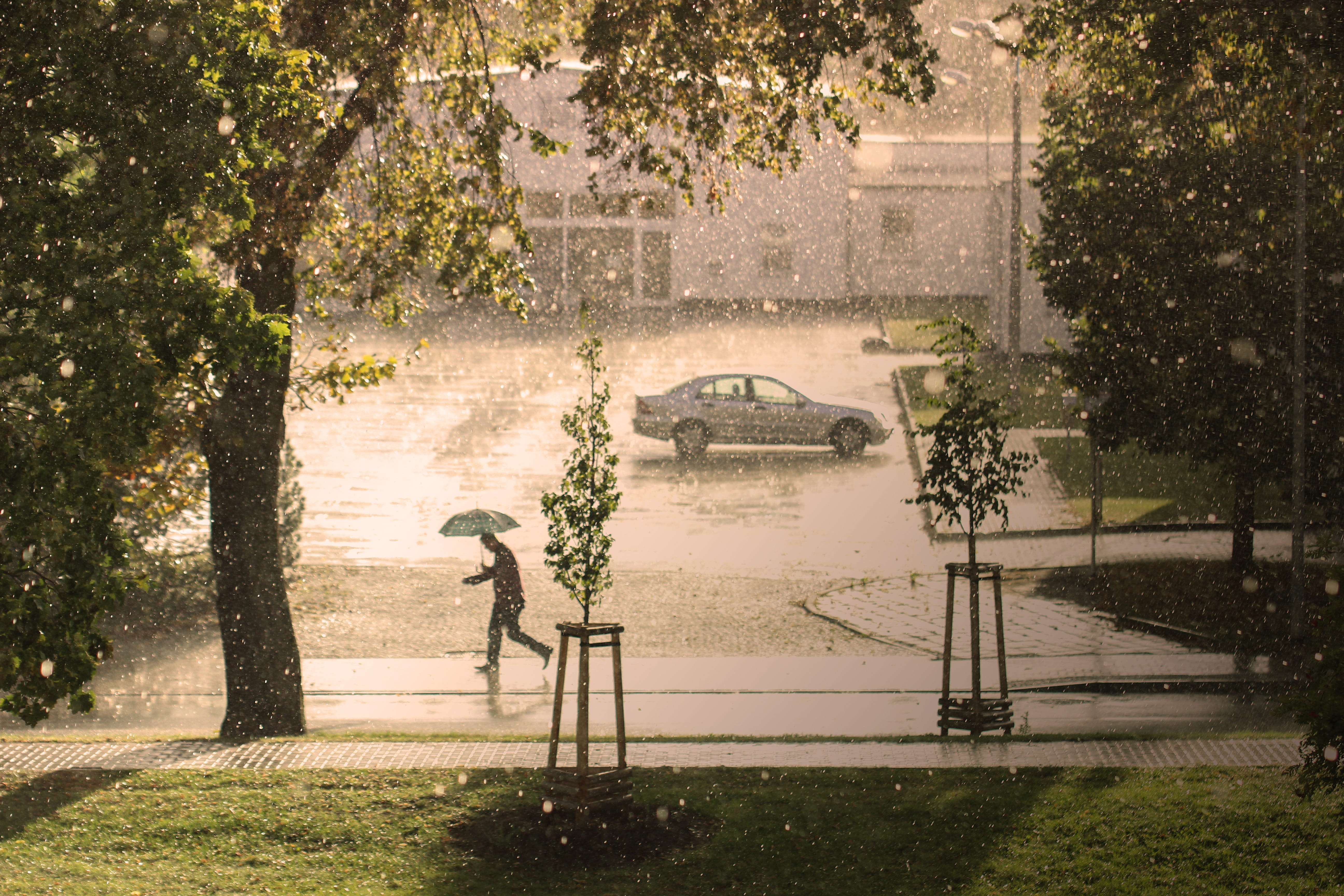park, rain, plant, grass, park - man made space, tree, architecture, umbrella, no people, run, climate, thunderstorm, precipitate, built structure, storm, HD Wallpaper