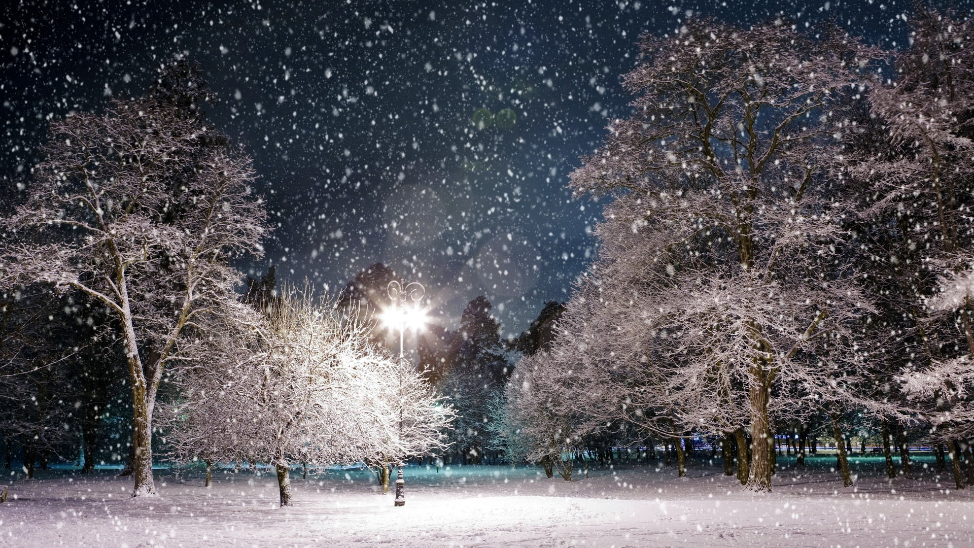 snowing, illuminated, trees, street, weather, scenics, landscape, january, nature, no People, extreme weather, park, tranquility, christmas, land, season, HD Wallpaper