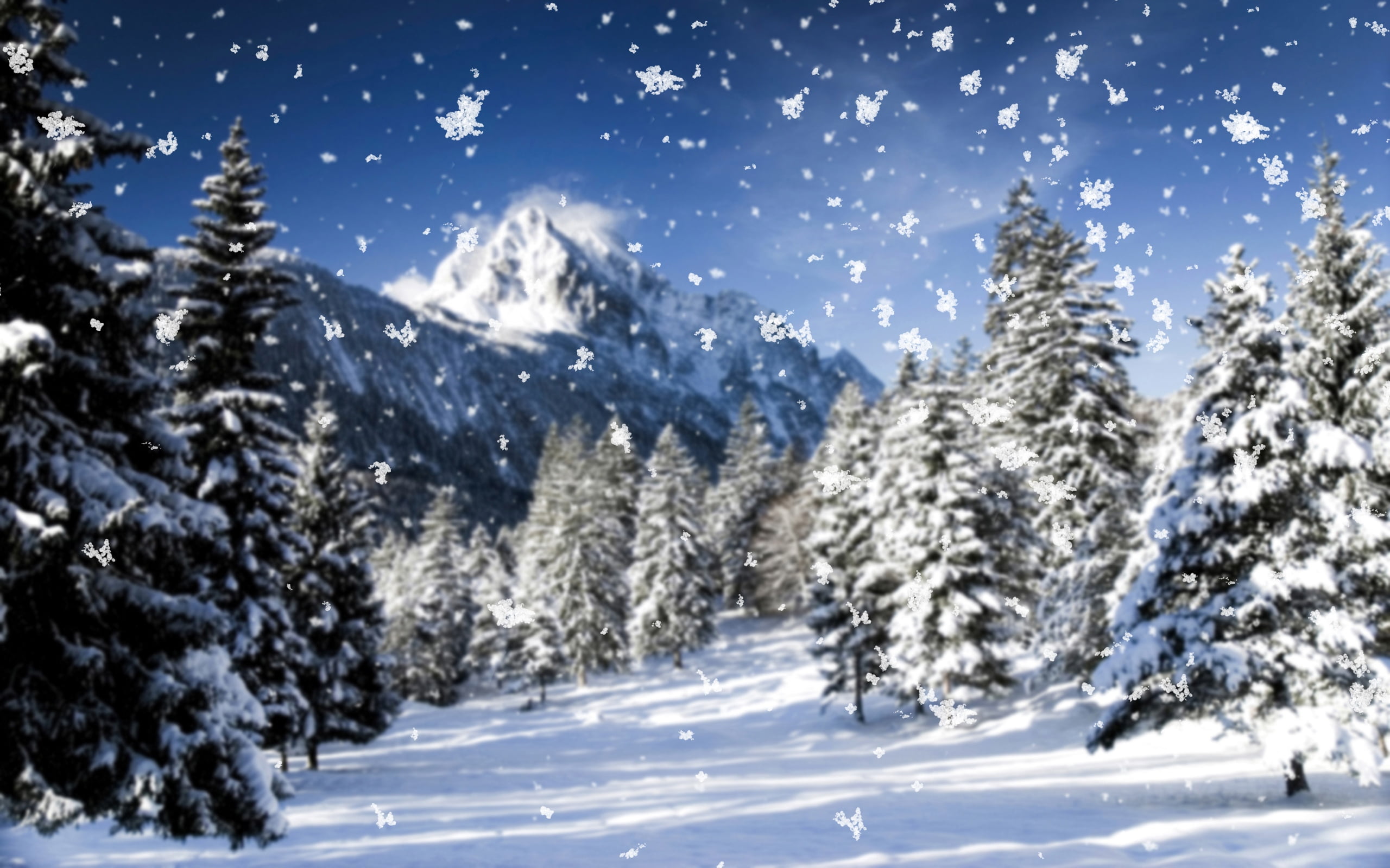 color Image, panoramic, tranquil Scene, nature, cold temperature, mountain, freshness, landscape, non-Urban Scene, scenics - nature, fir Tree, covered, HD Wallpaper