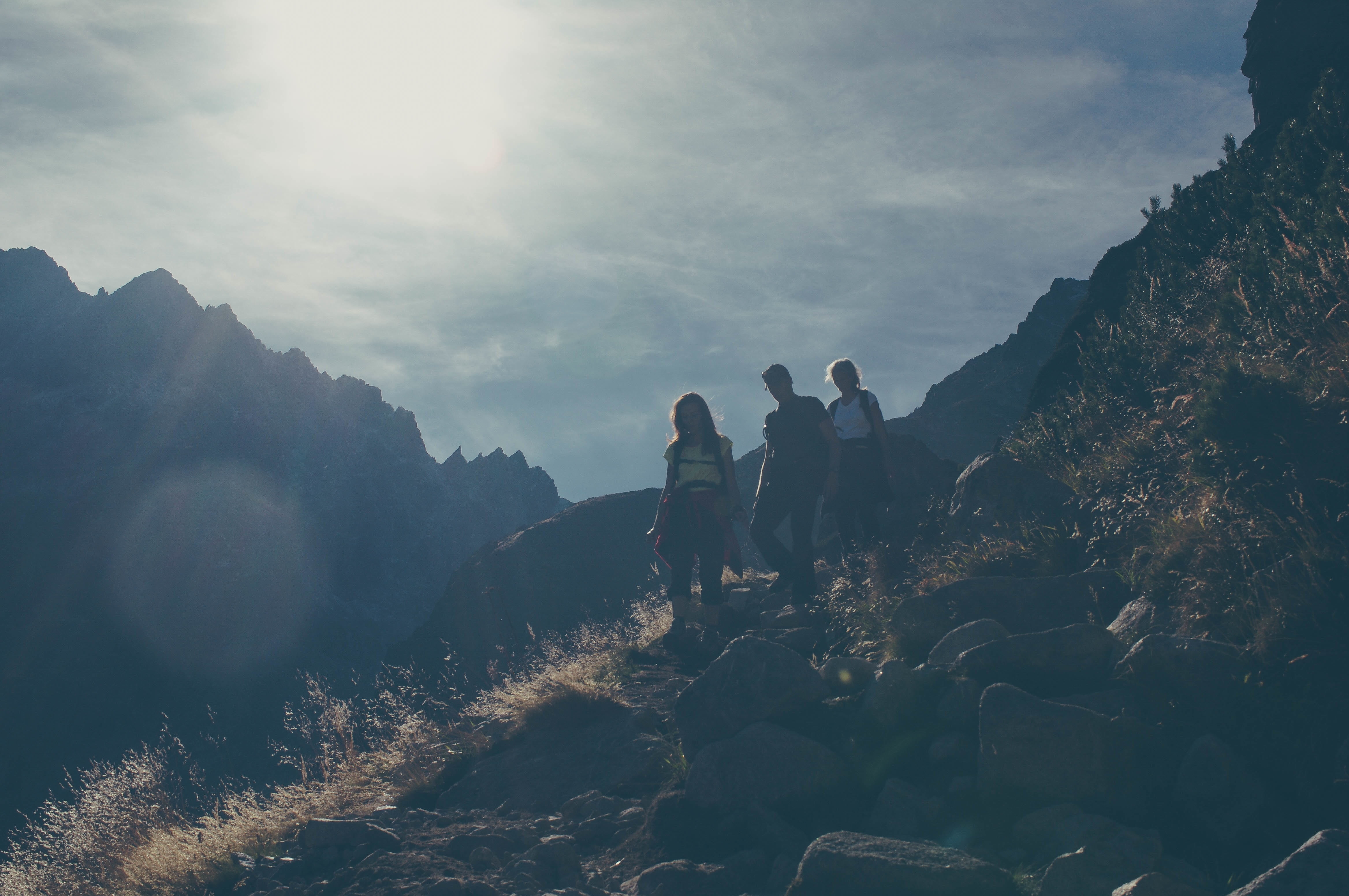 4K, real people, three, people, adventure, sunshine, exercise, nature, lens flare, time, fitness, hiking, group of people, leisure activity, tranquil scene, HD Wallpaper