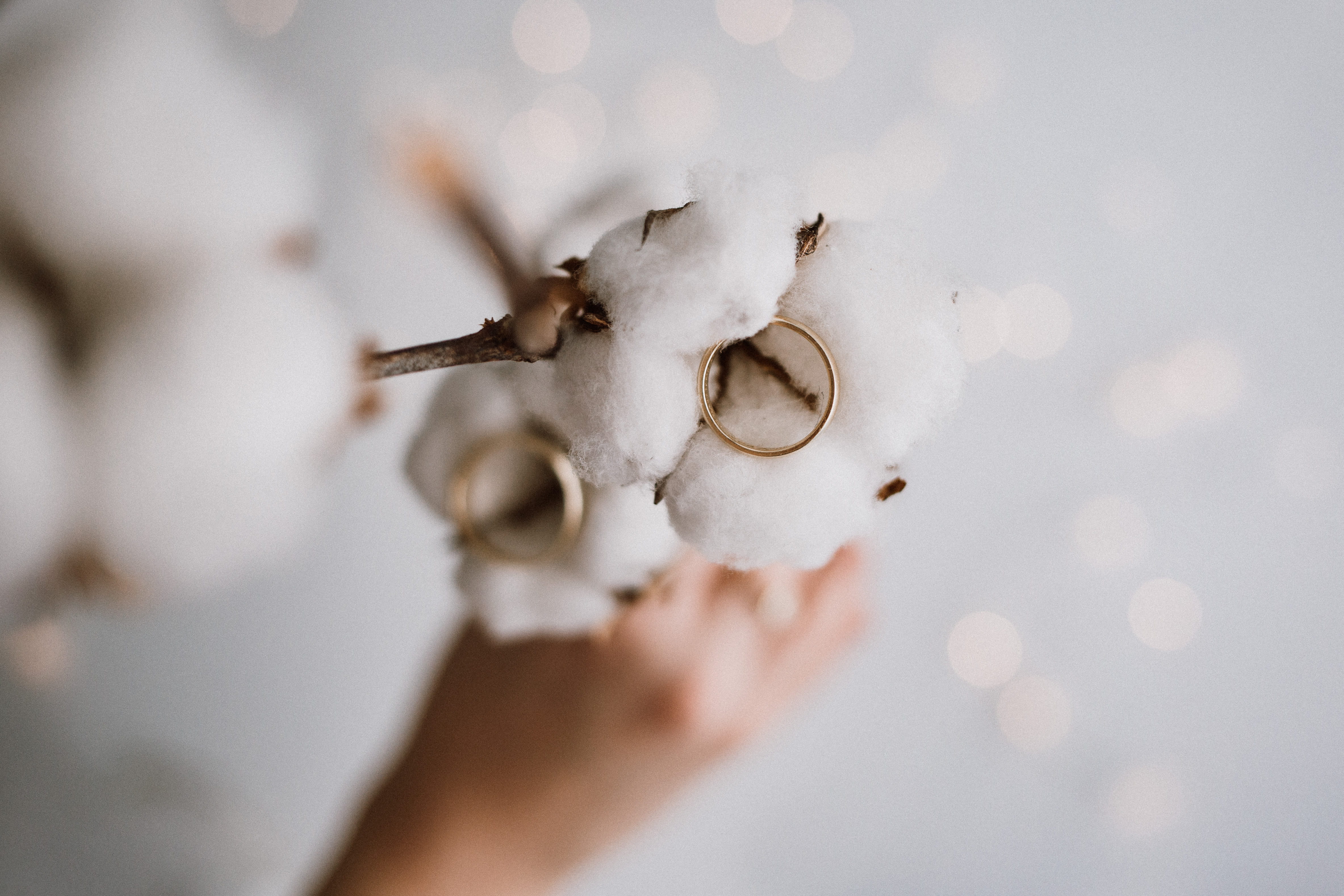 holding, invertebrate, body part, day, close-up, snowflake, human body part, animal body part, one person, hand, coil, adult, ring, selective focus, wedding, HD Wallpaper