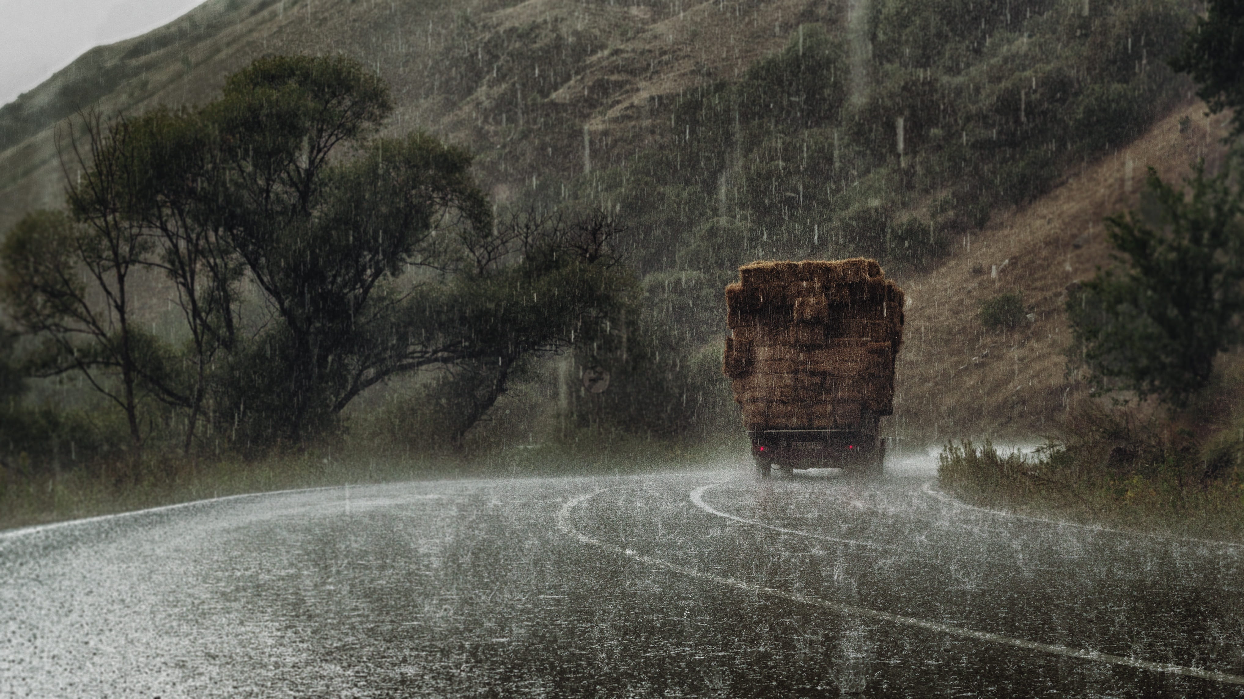 wet, rain, fog, outdoors, weather, outdoor, grass, beauty in nature, plant, water, rick, Tree, Hail, drop, transportation, environment, land, architecture, HD Wallpaper
