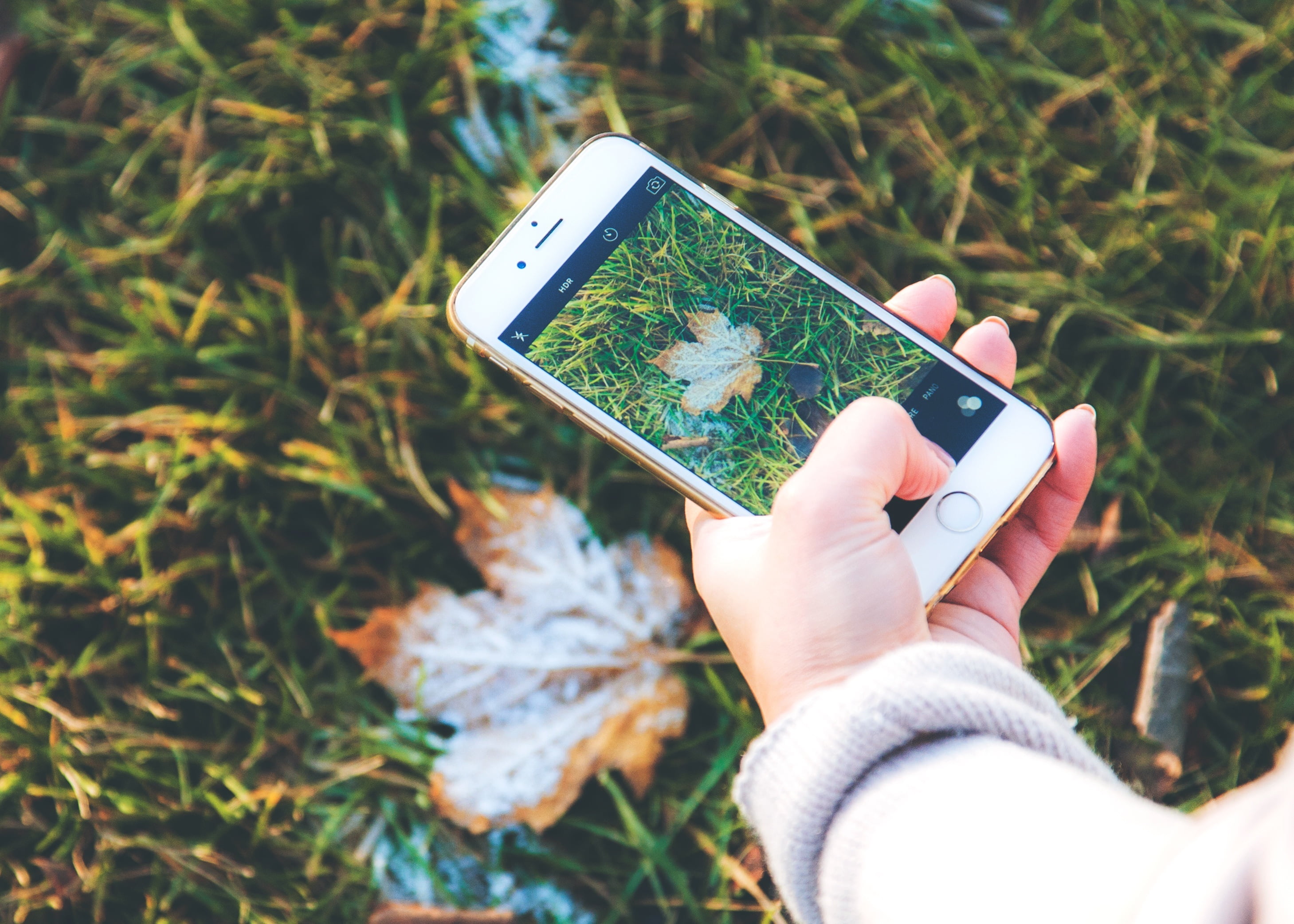 close-up, mobile Phone, nature, unrecognizable person, women, gold, outdoors, one person, holding, iphone 6, modern, plus, green Color, internet, springtime, HD Wallpaper