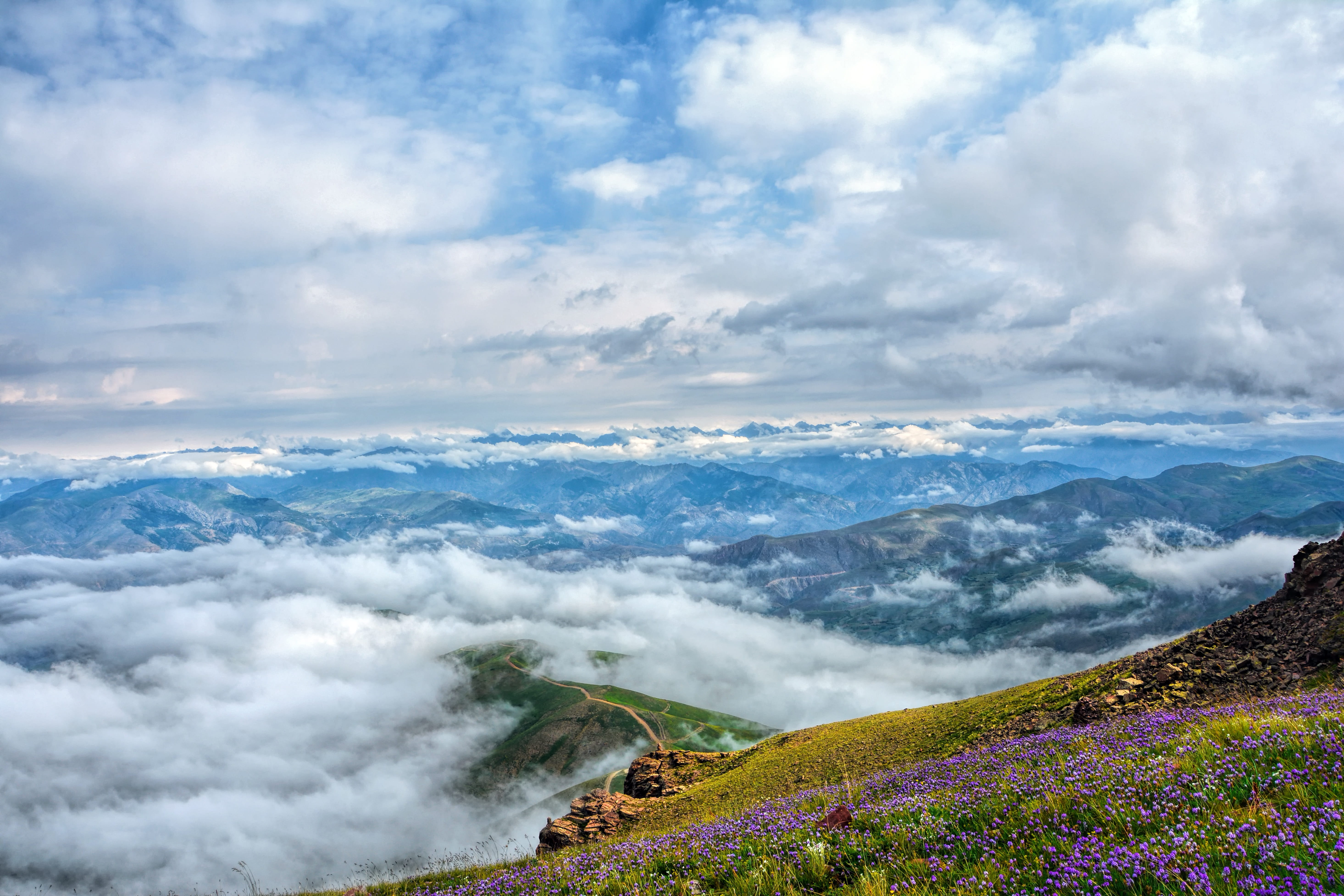 fog, nature, flowering mountains, landscape, day, outdoors, peak, eastern black sea, flower, plant, cloud - sky, atmosphere, mountain, environment, travel, HD Wallpaper