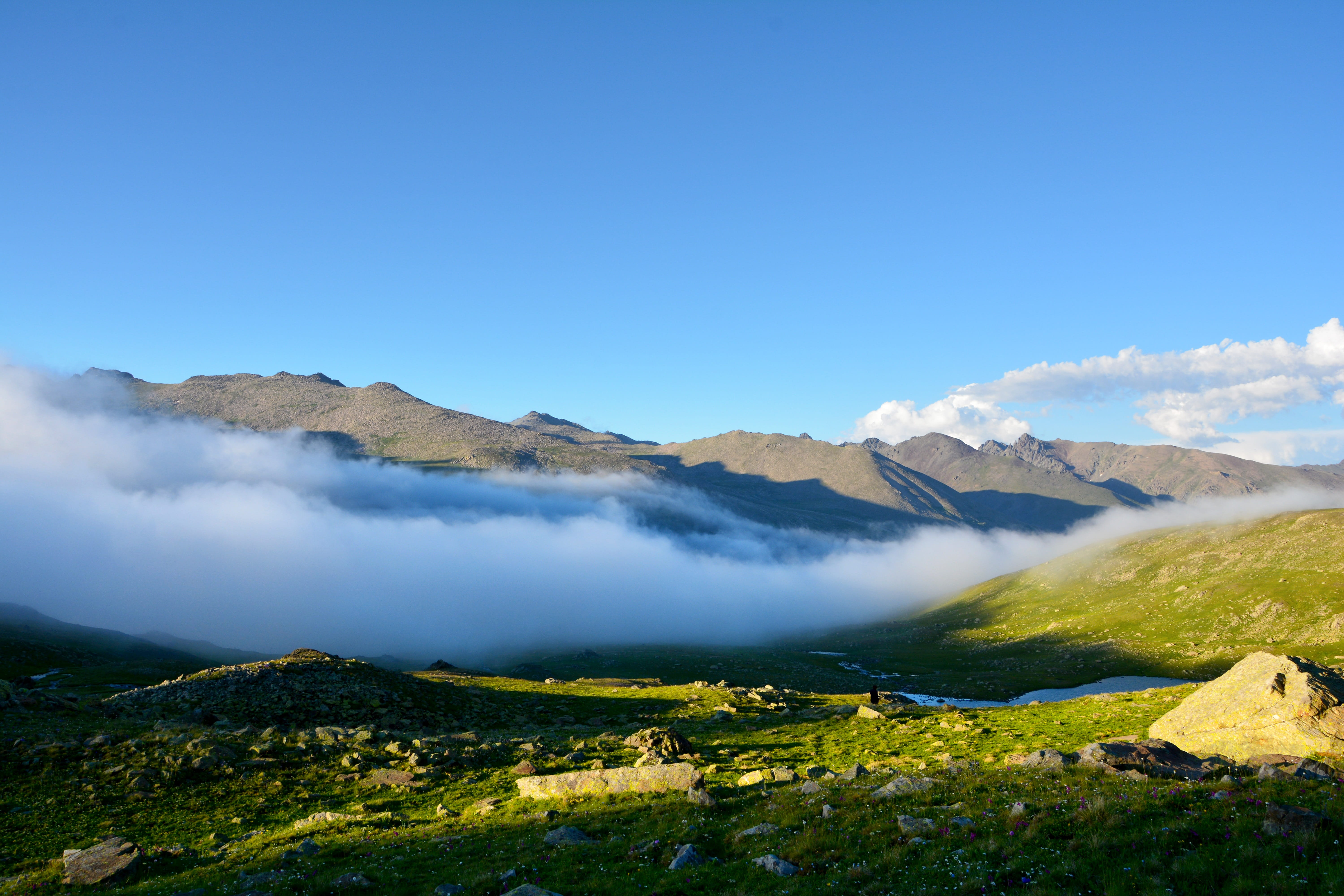 land, vivid color, scenics - nature, ispir, taylor, sky, fog, day, cloud, environmental, kaçkars, grassland, white clouds, green, Landscape, photography, HD Wallpaper