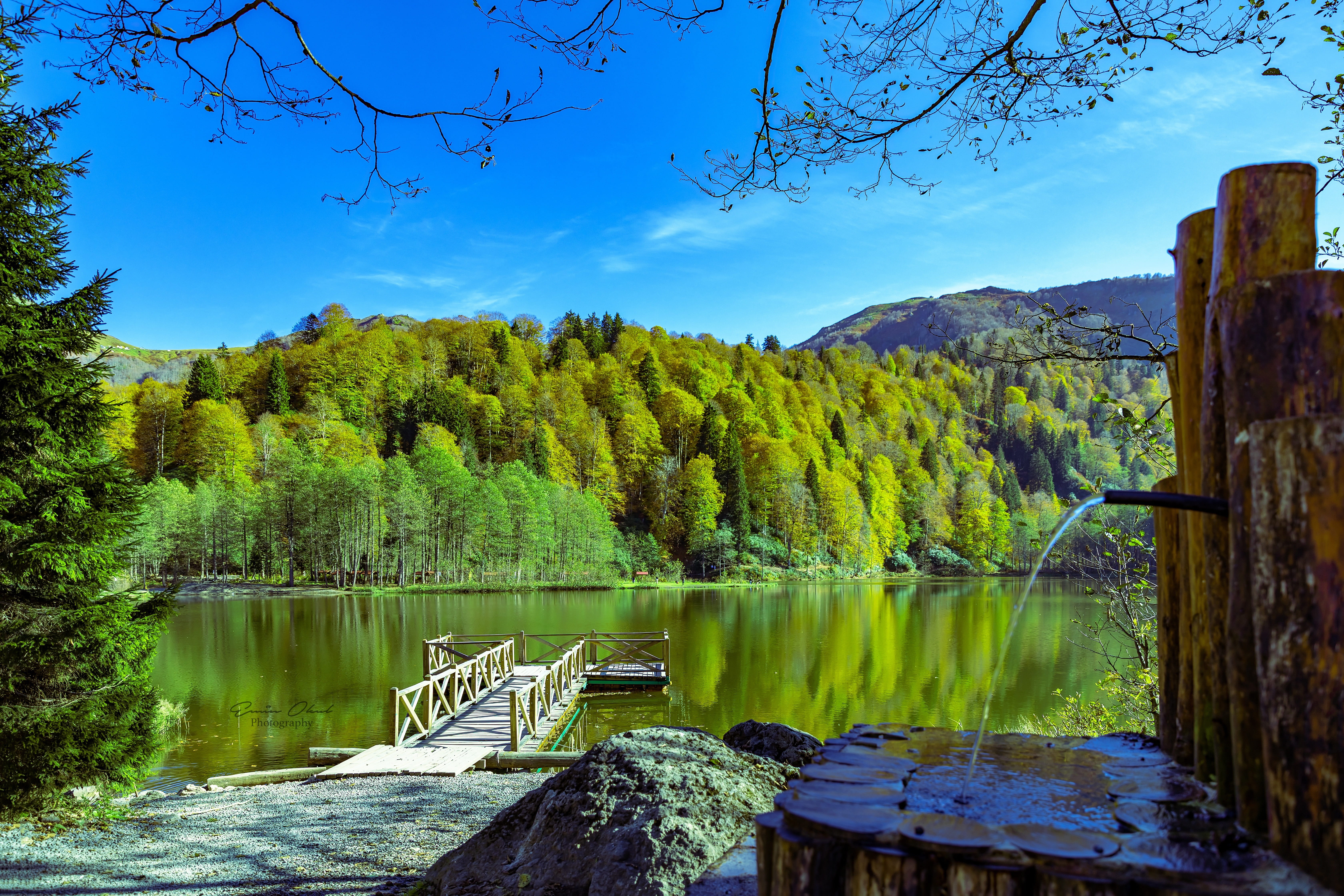 beautiful, outdoors, beauty in nature, tranquil scene, summer, forest, green color, nature, scenics - nature, wood - material, mountains, plateaus, blue, HD Wallpaper