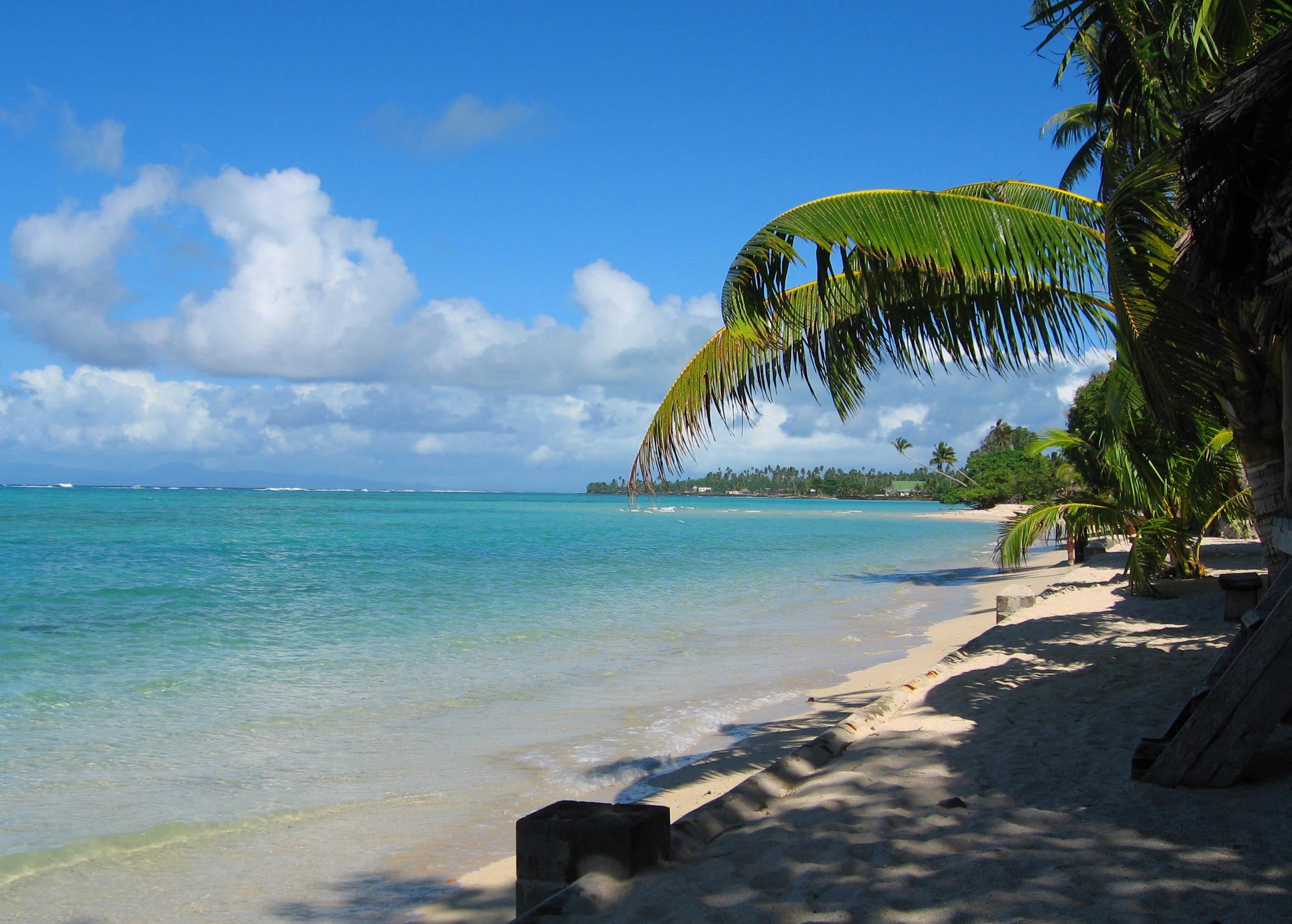 near, body, scenics, sand, sky, Beach, sea, water, tropical Climate, relaxation, vacations, Samoa, coastline, landscape, nature, seashore, travel, coconut tree, HD Wallpaper