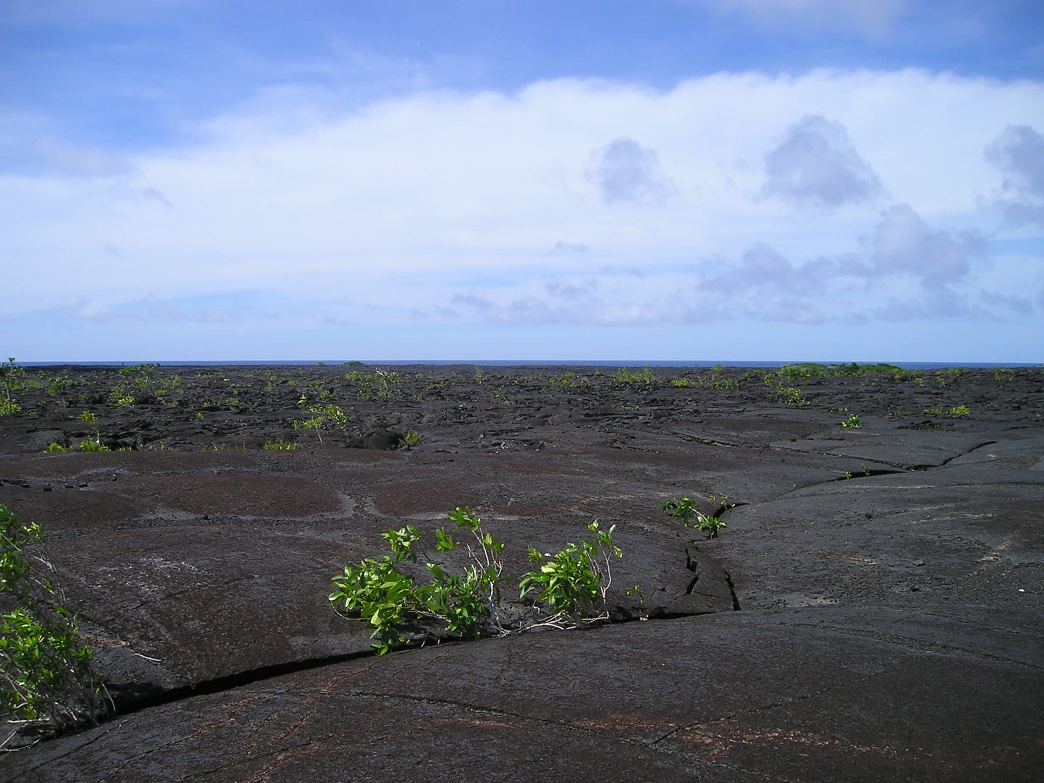 environment, sky, Exotic, outdoors, South Sea, scenics - nature, nature, cloud - sky, Samoa, beauty in nature, 1080P, plant, sea, non-urban scene, scenics, HD Wallpaper