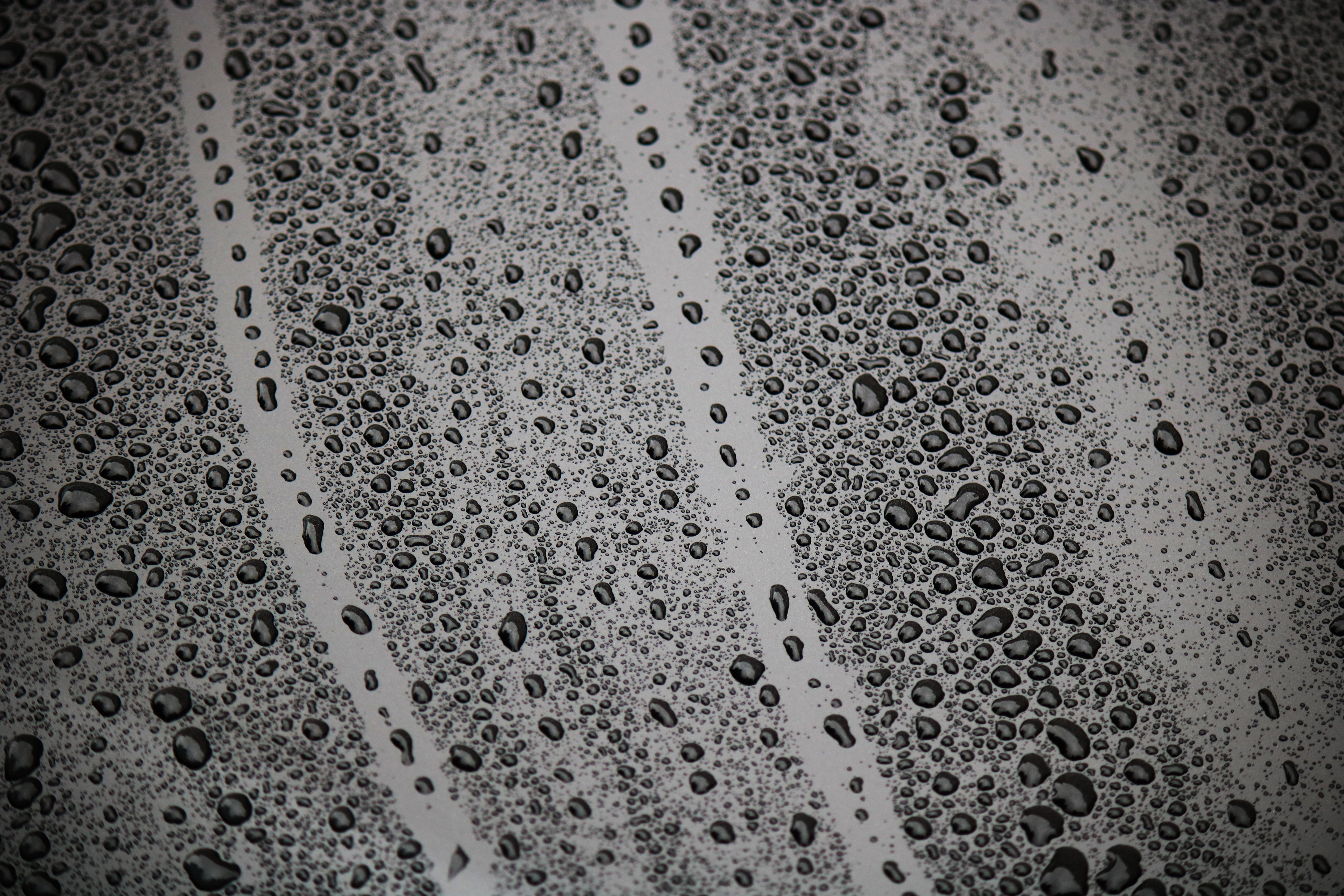 spotted, full frame, bw, moist, surface, textured, water, abstract, textured Effect, indoors, shiny, drops, rain, 5K, dew, day, soap sud, wet, rainy season, HD Wallpaper