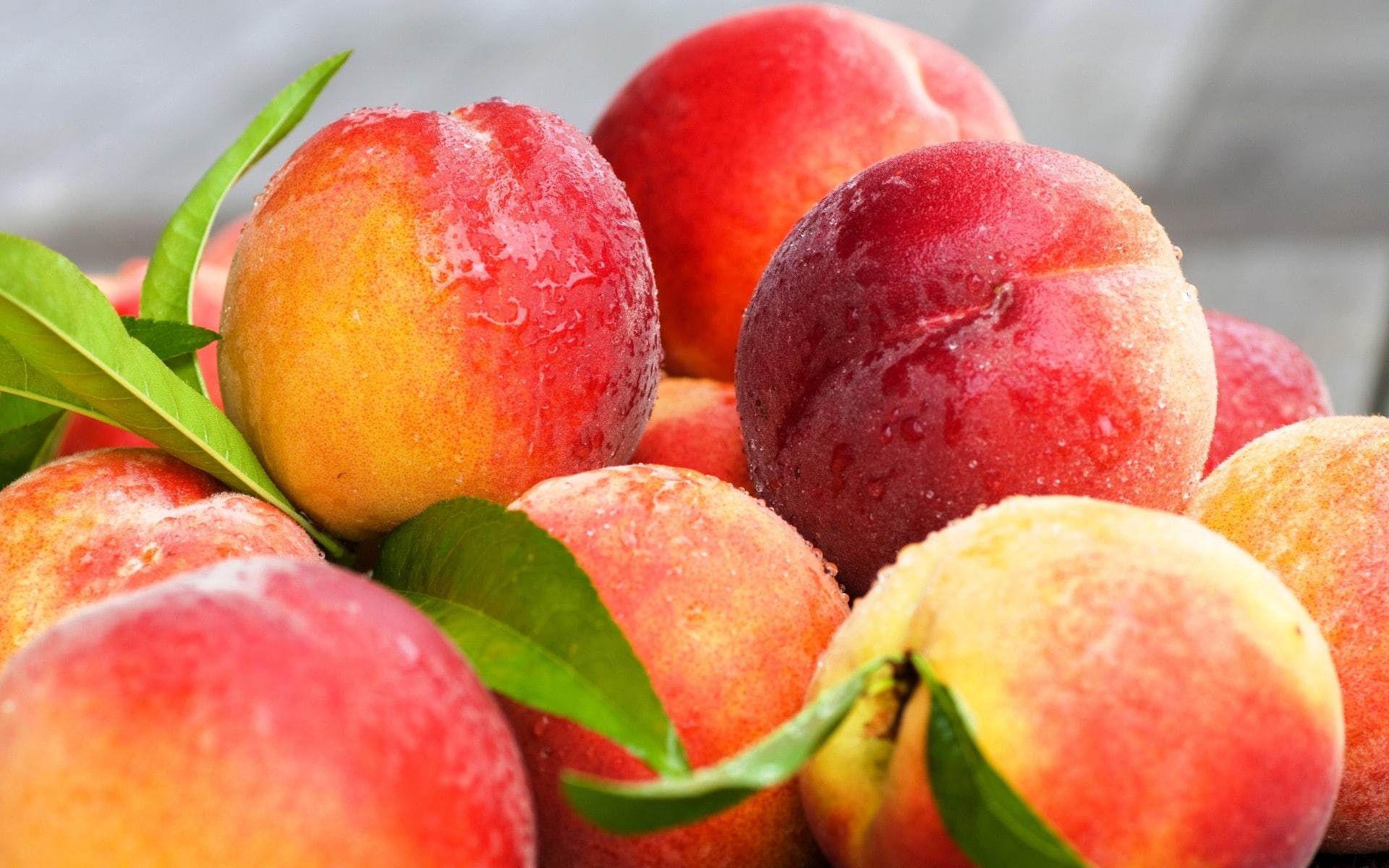 moist, 1080P, fruit, peaches, leaves, HD Wallpaper