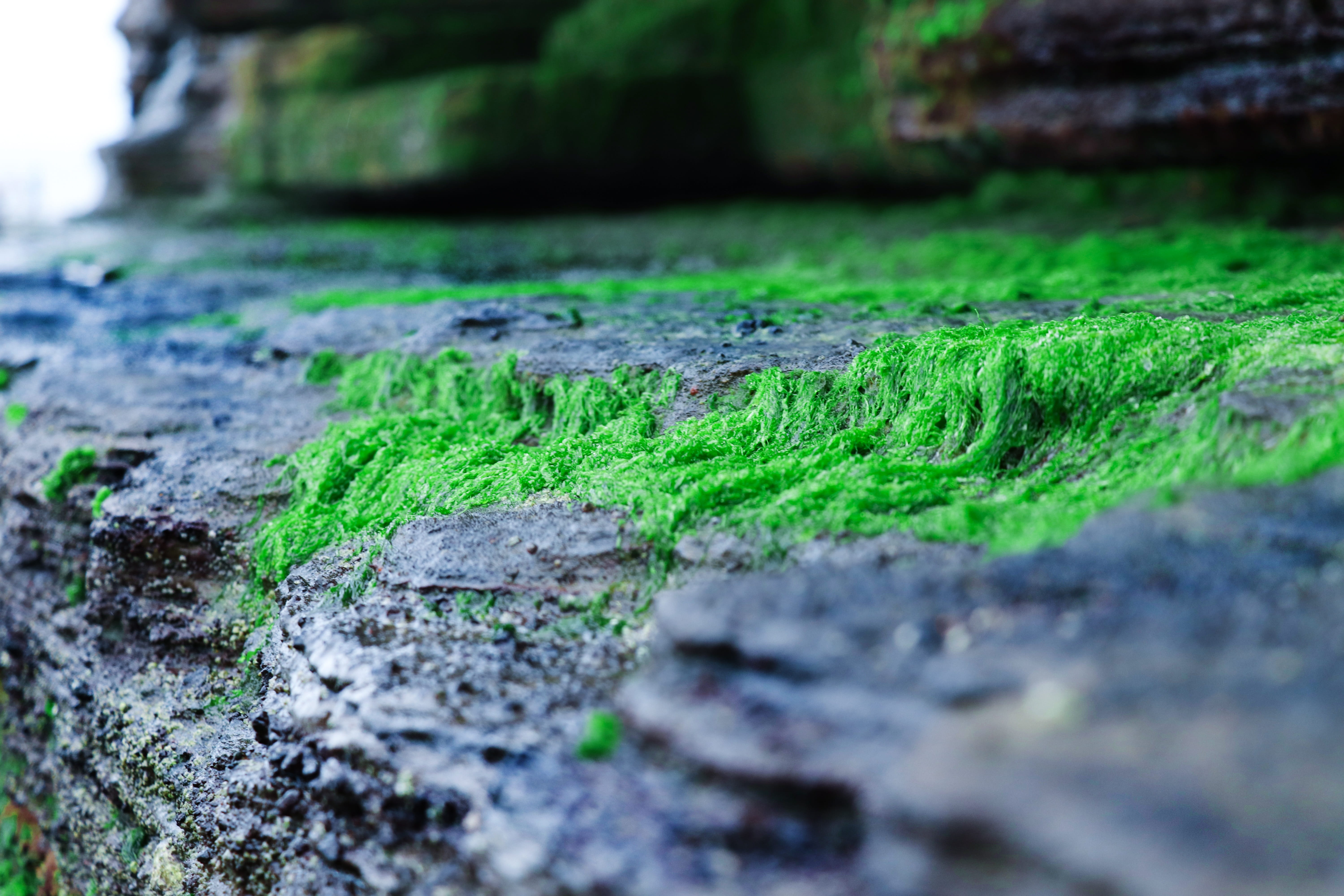 close-up, sea island, old, volcano, green color, igneous rocks, volcanic rock, day, architecture, outdoors, built structure, weathered, solid, focus on foreground, HD Wallpaper