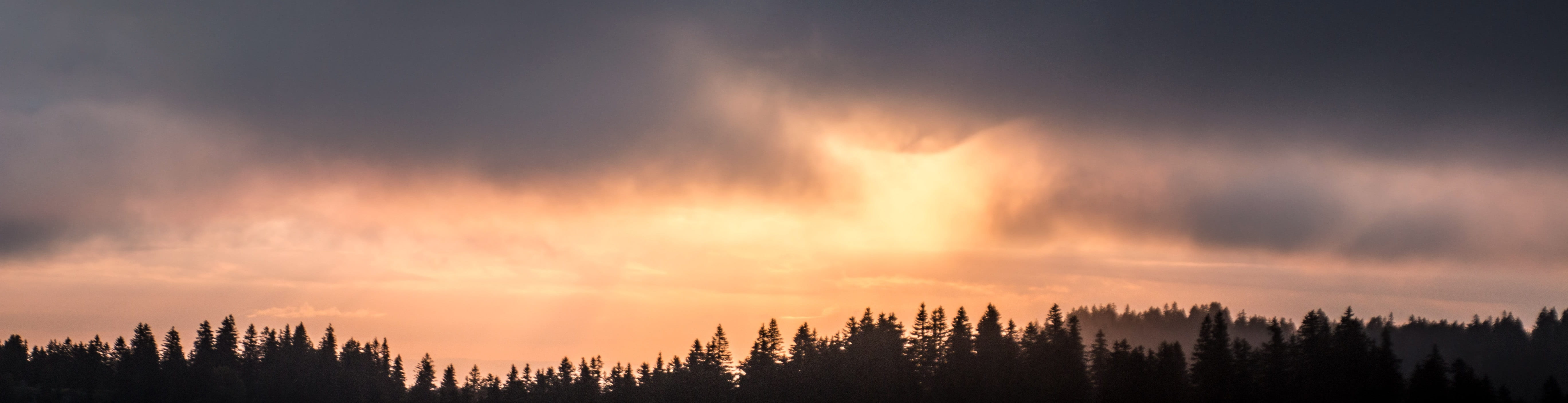 panorama, no people, back light, fir forest, landscape, cloud - sky, yellow, epic, sky, wide format, landscapes, sun behind the clouds, morning, beauty in nature, HD Wallpaper