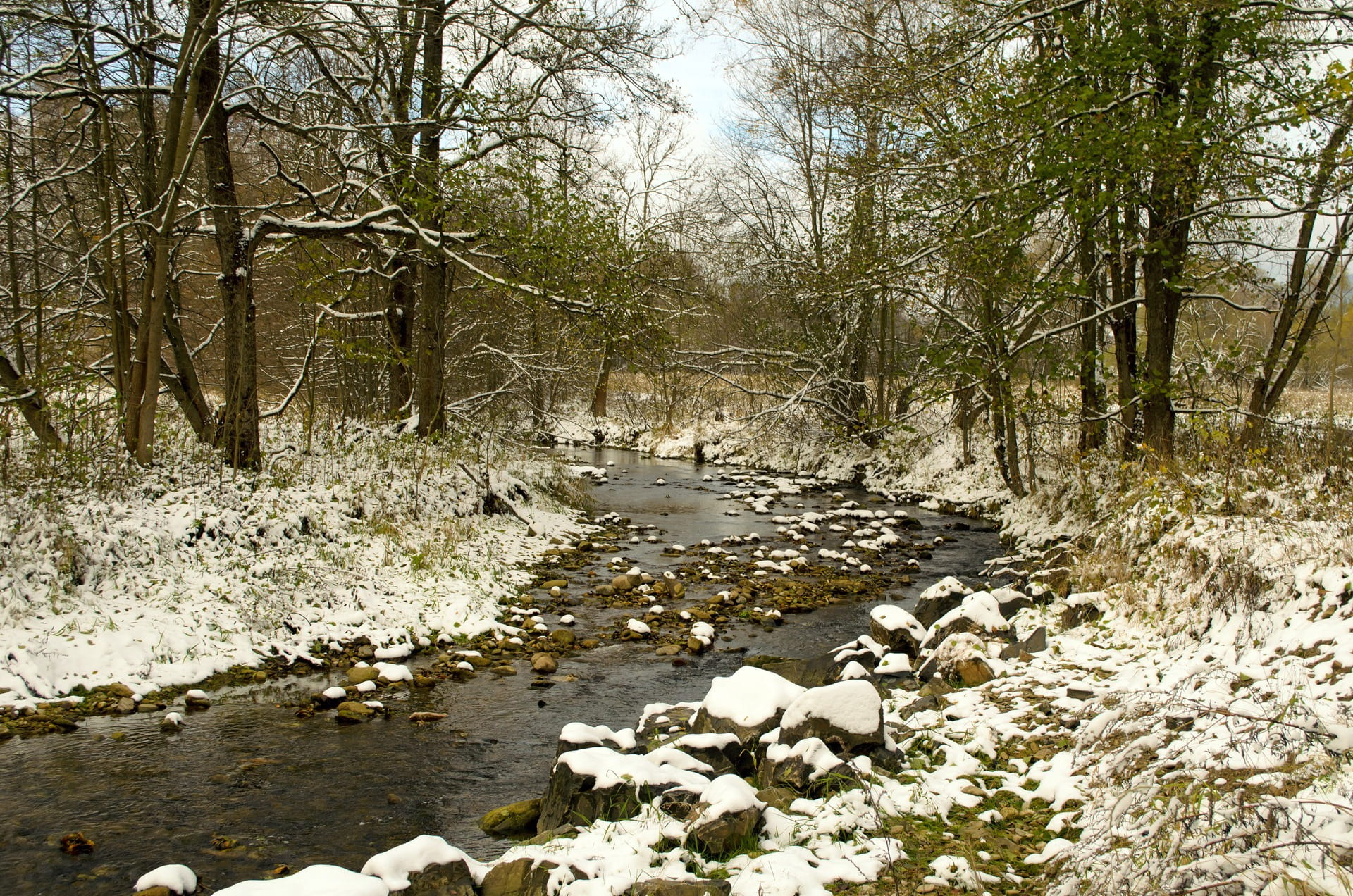 plant, beauty in nature, land, no people, tree, flowing, bank, frozen, canvas, outdoors, stones, river, element, trees, snow, banks, winter, day, landscape, HD Wallpaper