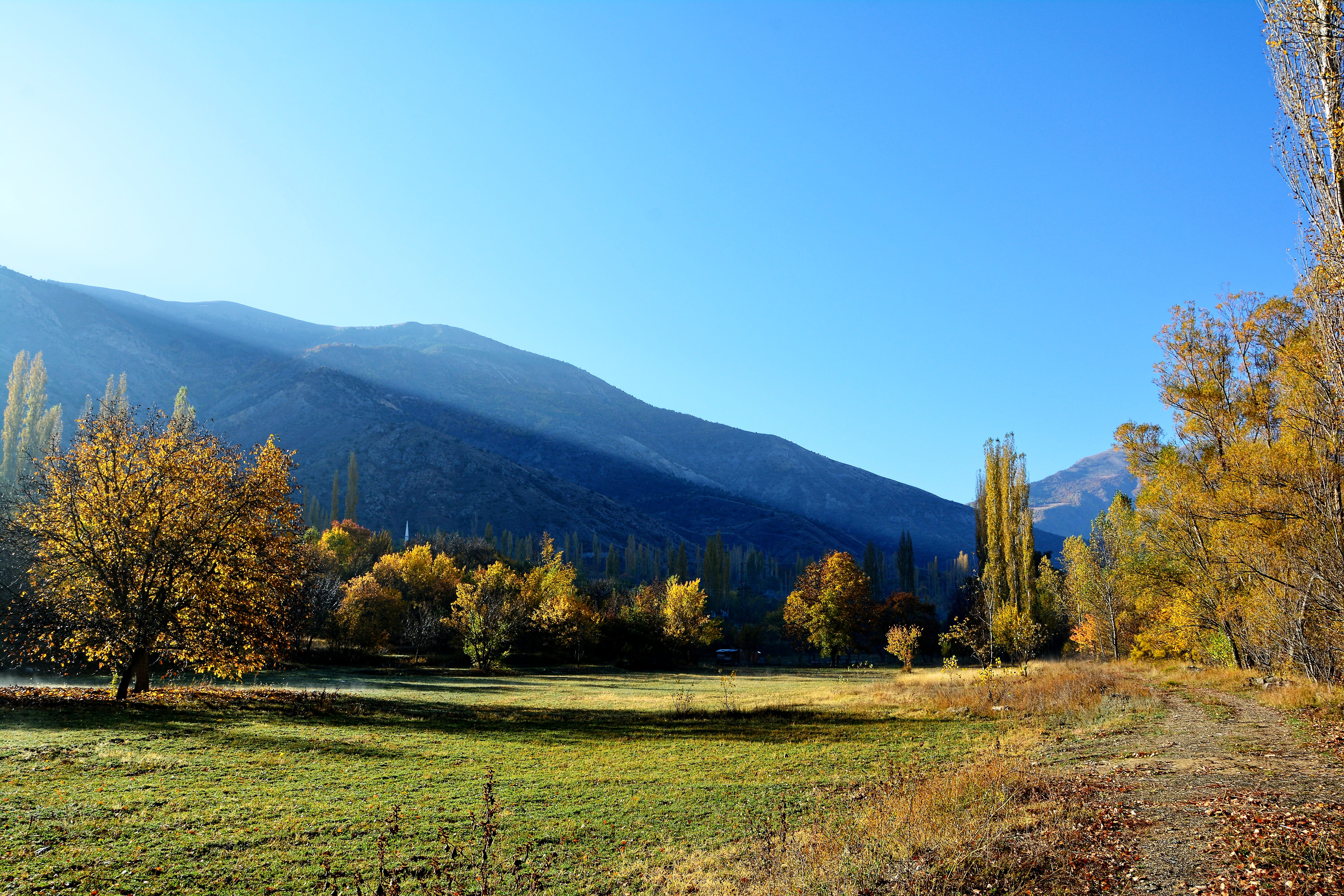 environment, coruh river, virgo, coniferous tree, slope, peace, mountain, river, current season, vivid color, leaves, beauty in nature, season, plant cover, HD Wallpaper