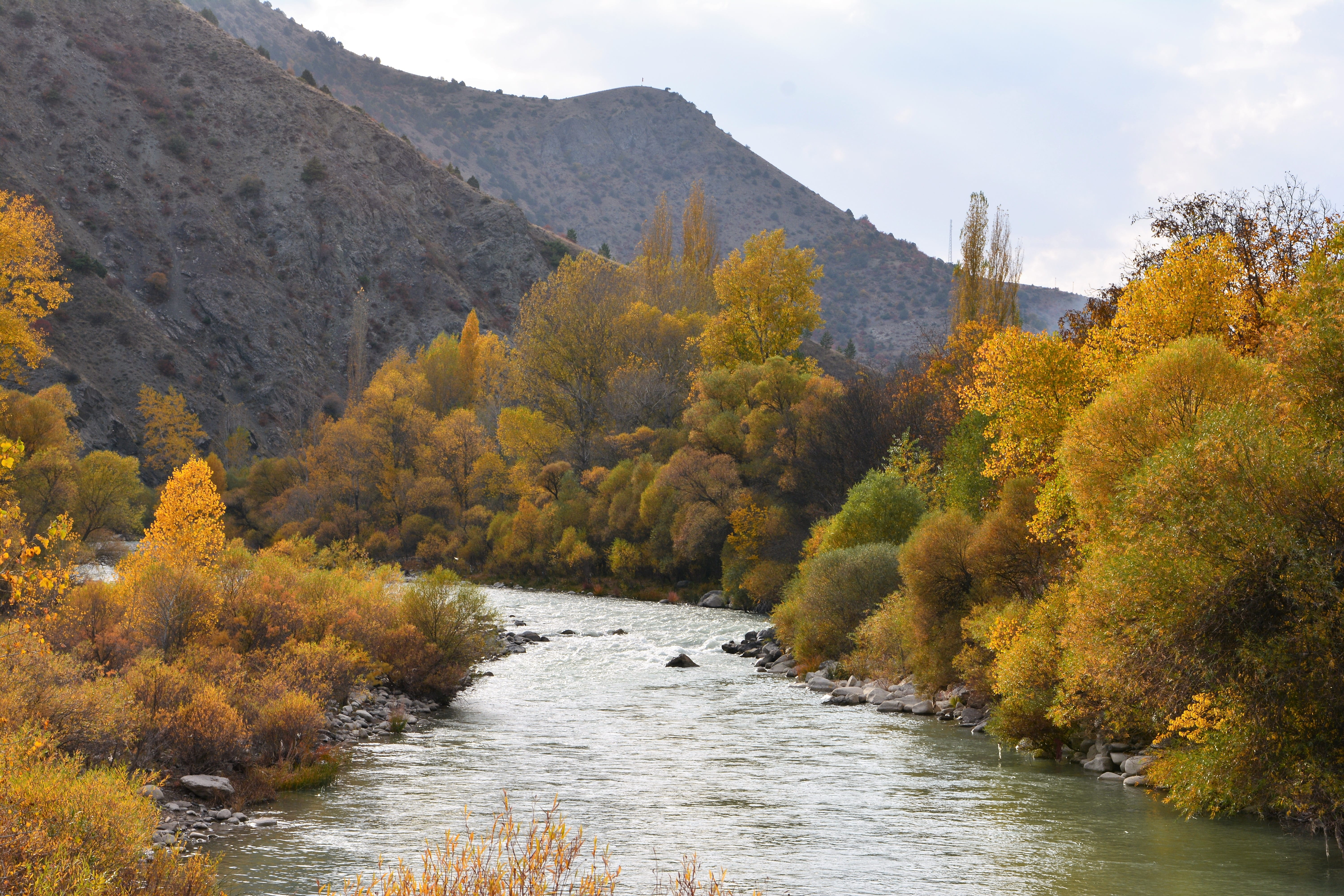 flowing, turkey, natural life, outdoor, land, color image, streaming, autumn, plant, landscape, landscape nature, no people, autumn collection, season, HD Wallpaper