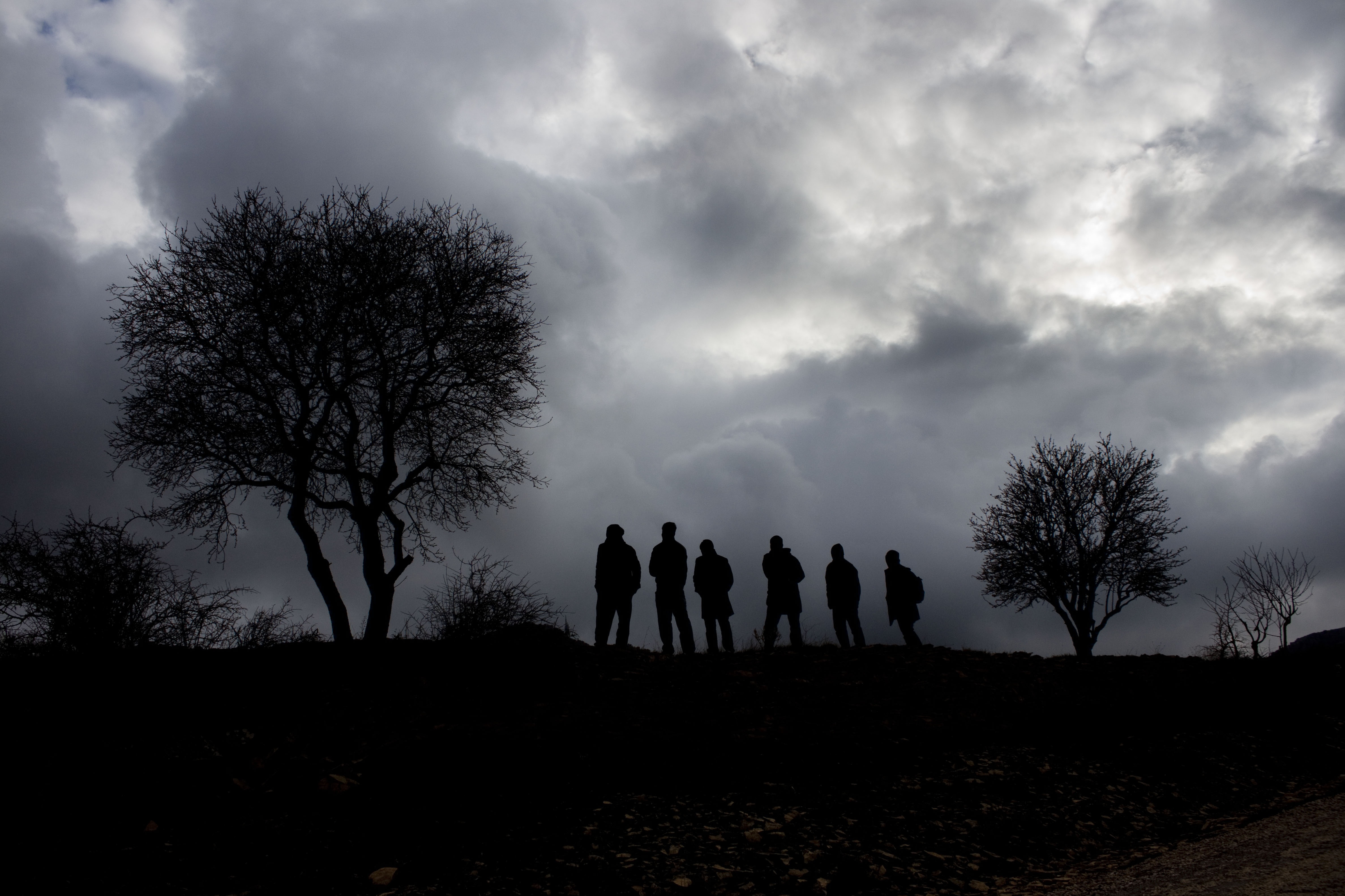nature, tree, women, people, scenics - nature, human, silhouette, cloud, 4K, sky, friendship, men, group, leisure activity, cloud - sky, beauty in nature, HD Wallpaper