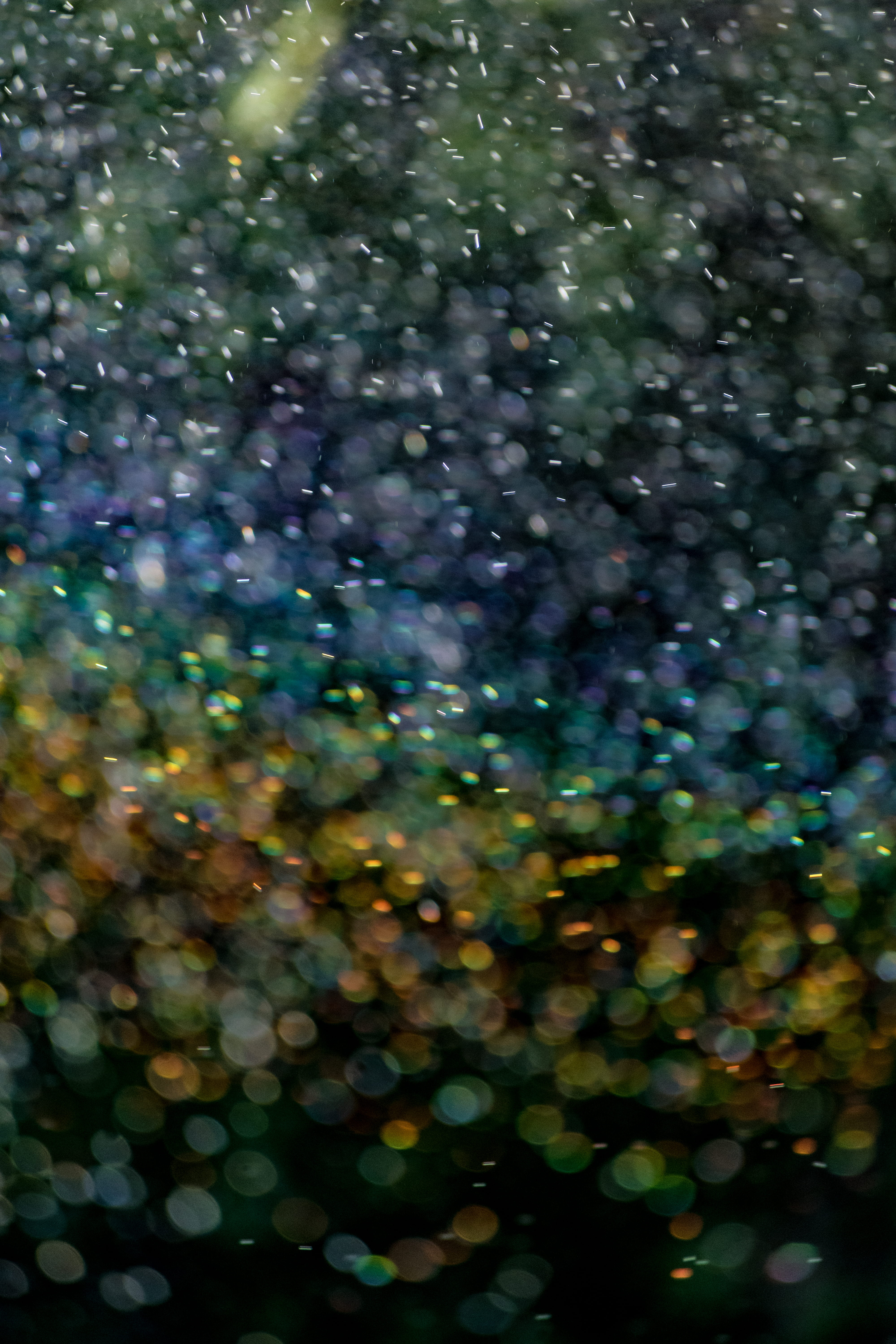 bokeh, defocused, tree, nature, motion, photography, untitled, celebration, selective focus, boke, plant, wet, outdoors, close-up, 5K, water, beauty in nature, Phone HD Wallpaper