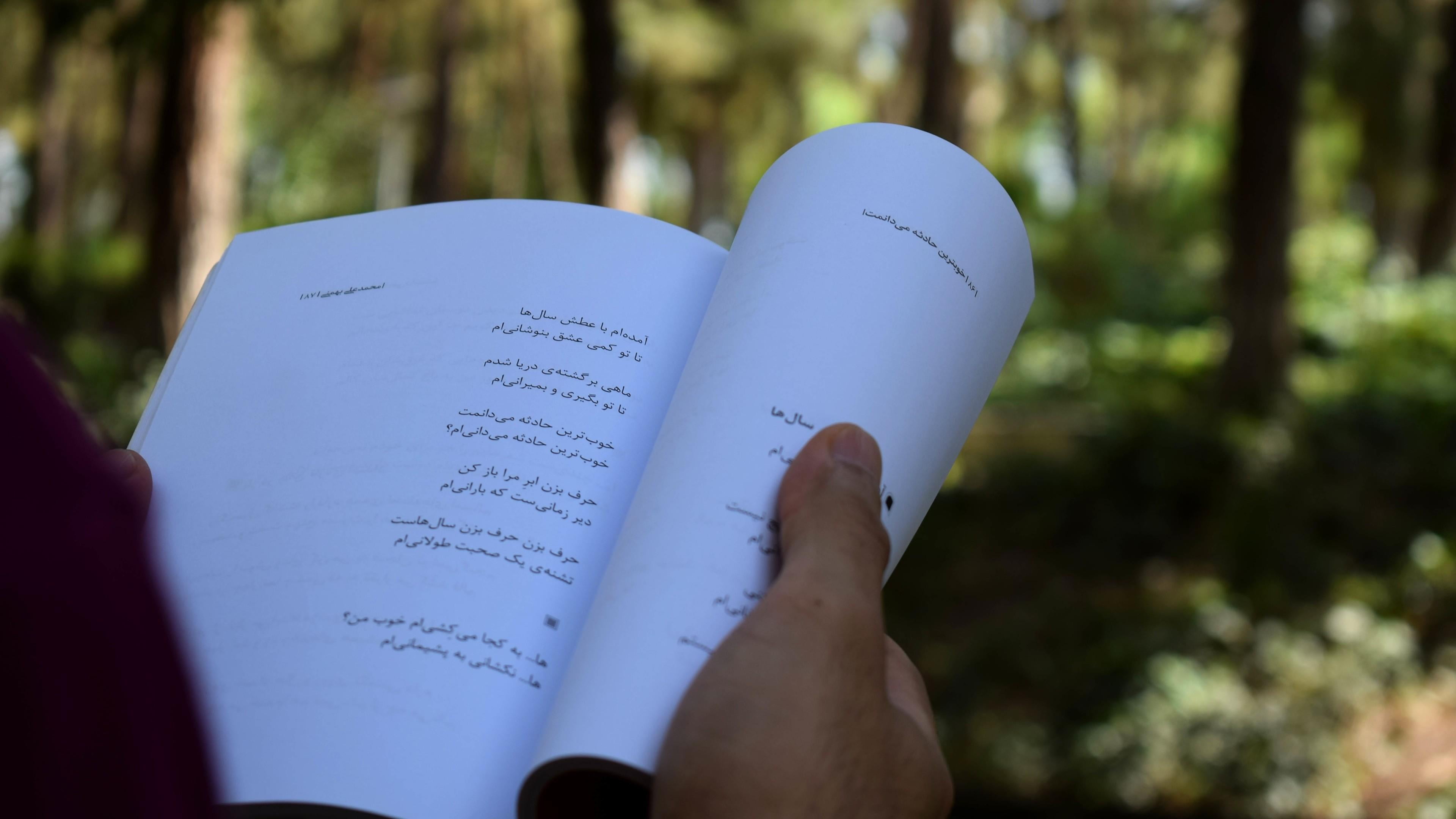 holding, letter, focus on foreground, book, tree, close-up, publication, park, writing, 4K, farsi, activity, human body part, life, communication, boke, HD Wallpaper
