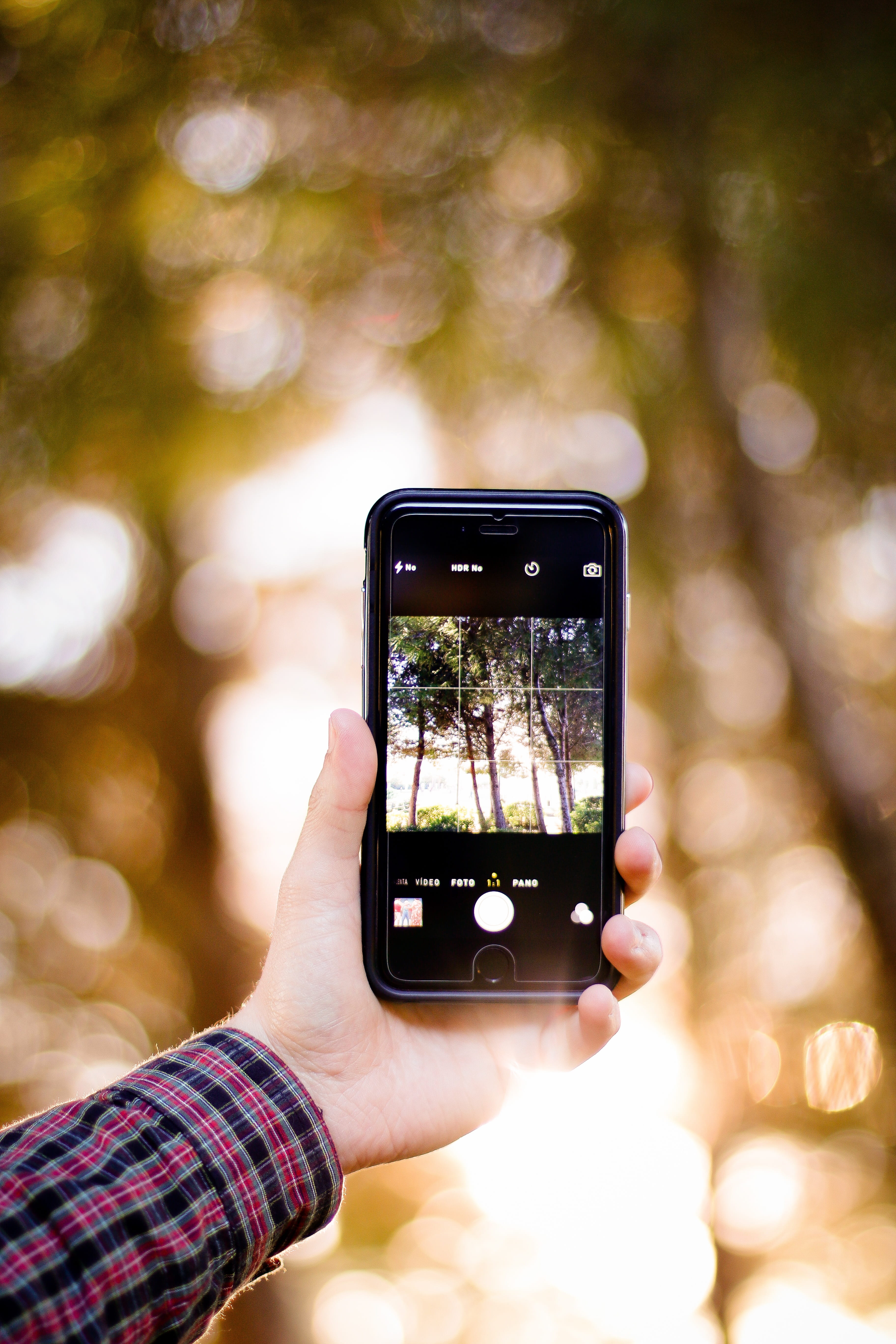 photography, taking photo, digital, displaying, leisure activity, touch, human hand, human body part, iphone, portable information device, smartphone, trees, Phone HD Wallpaper