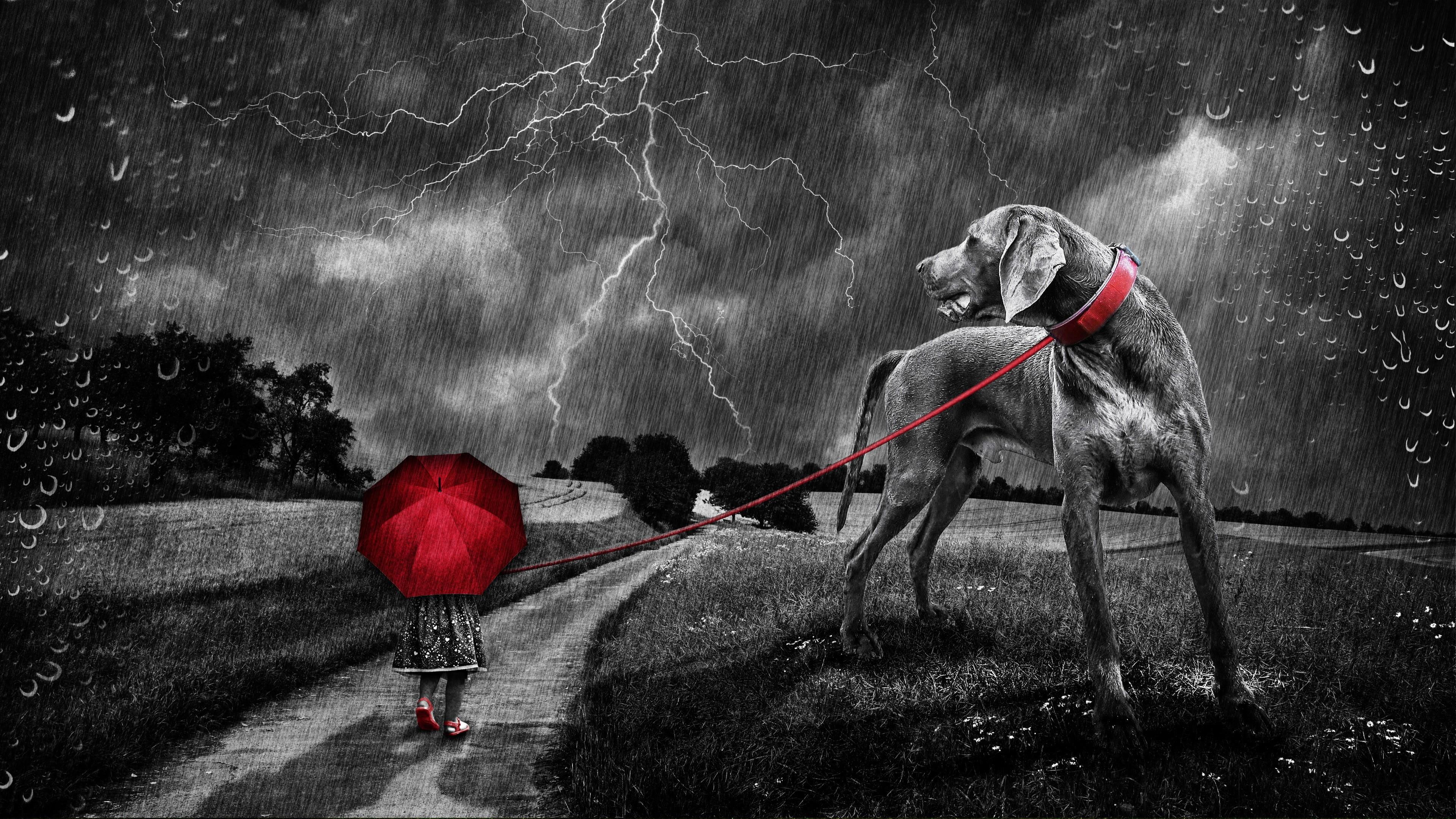 raining, dog, fantasy art, little girl, night, storm, umbrella, field, 4K, rain, road, walking, lightning, HD Wallpaper