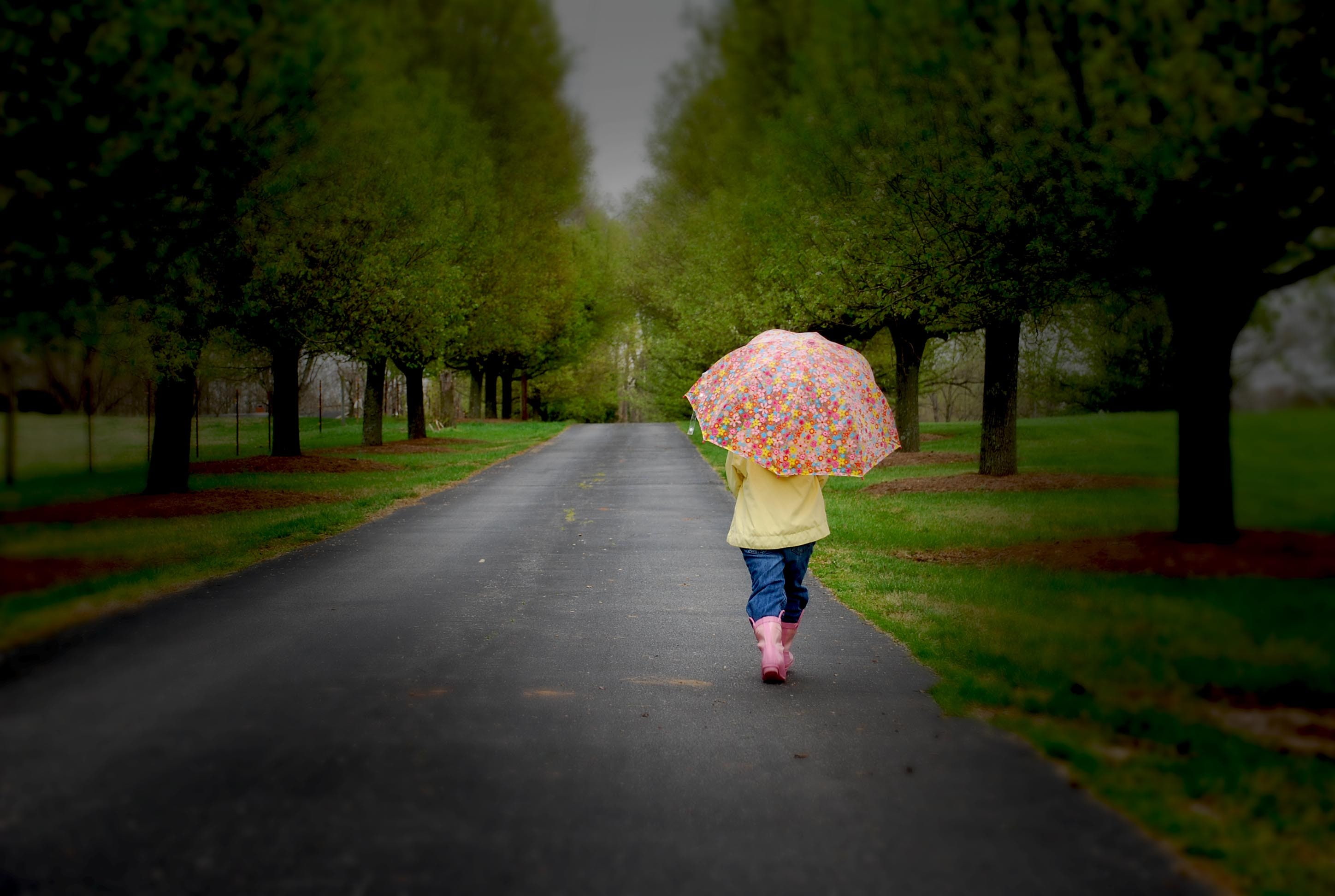 umbrella, nature, lonely, child, 2K, trees, sadness, children, little girl, childhood, road, HD Wallpaper
