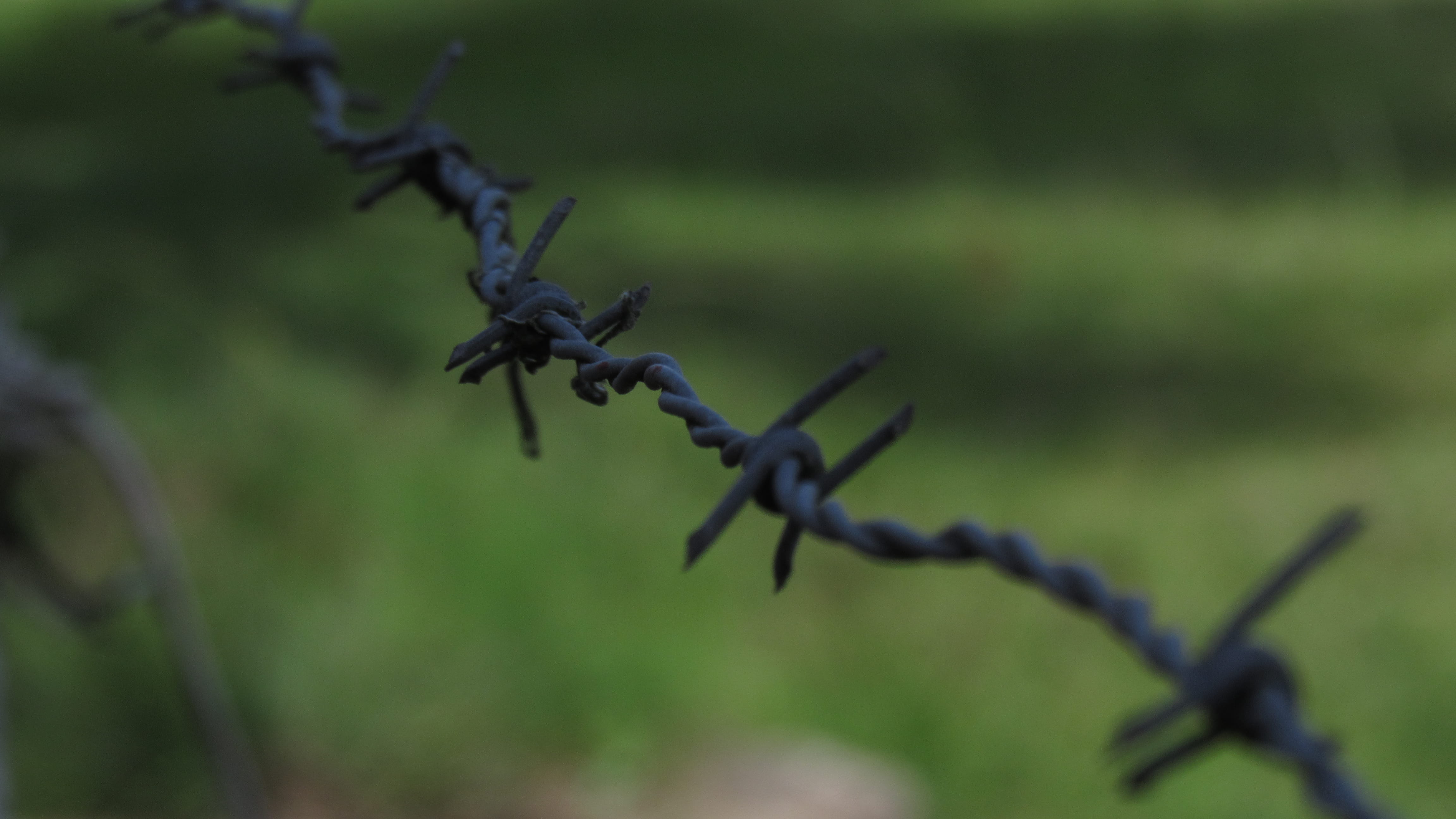 outdoors, exclusion, protection, green, safety, spiked, fance, barbed wire, security, day, fence, focus on foreground, jureia, boundary, no people, metal, HD Wallpaper