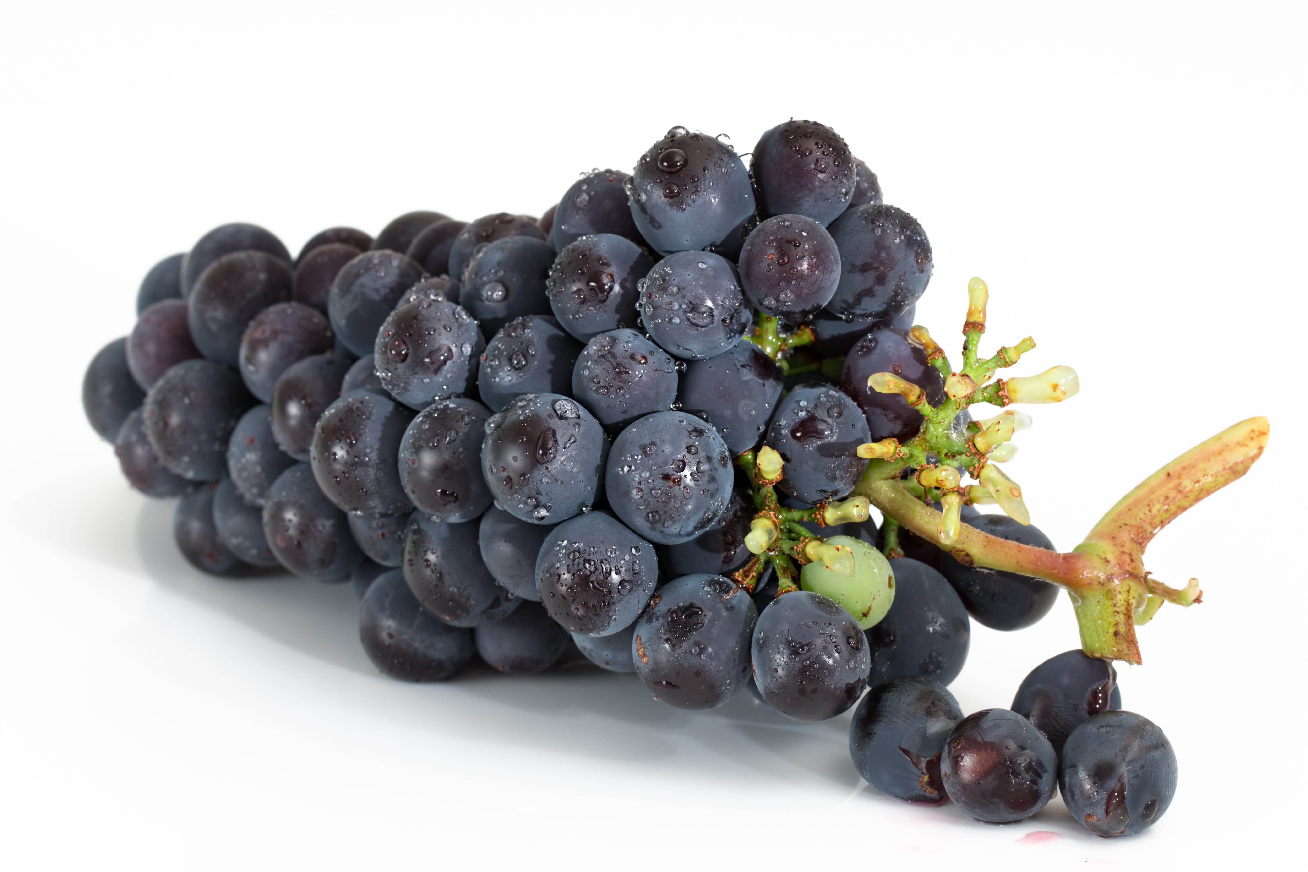 cut out, harvest, black color, grapevine, still life, wine, ripe, vitamin, togetherness, viticulture, bundle, red grape, vineyard, group, food and drink, HD Wallpaper