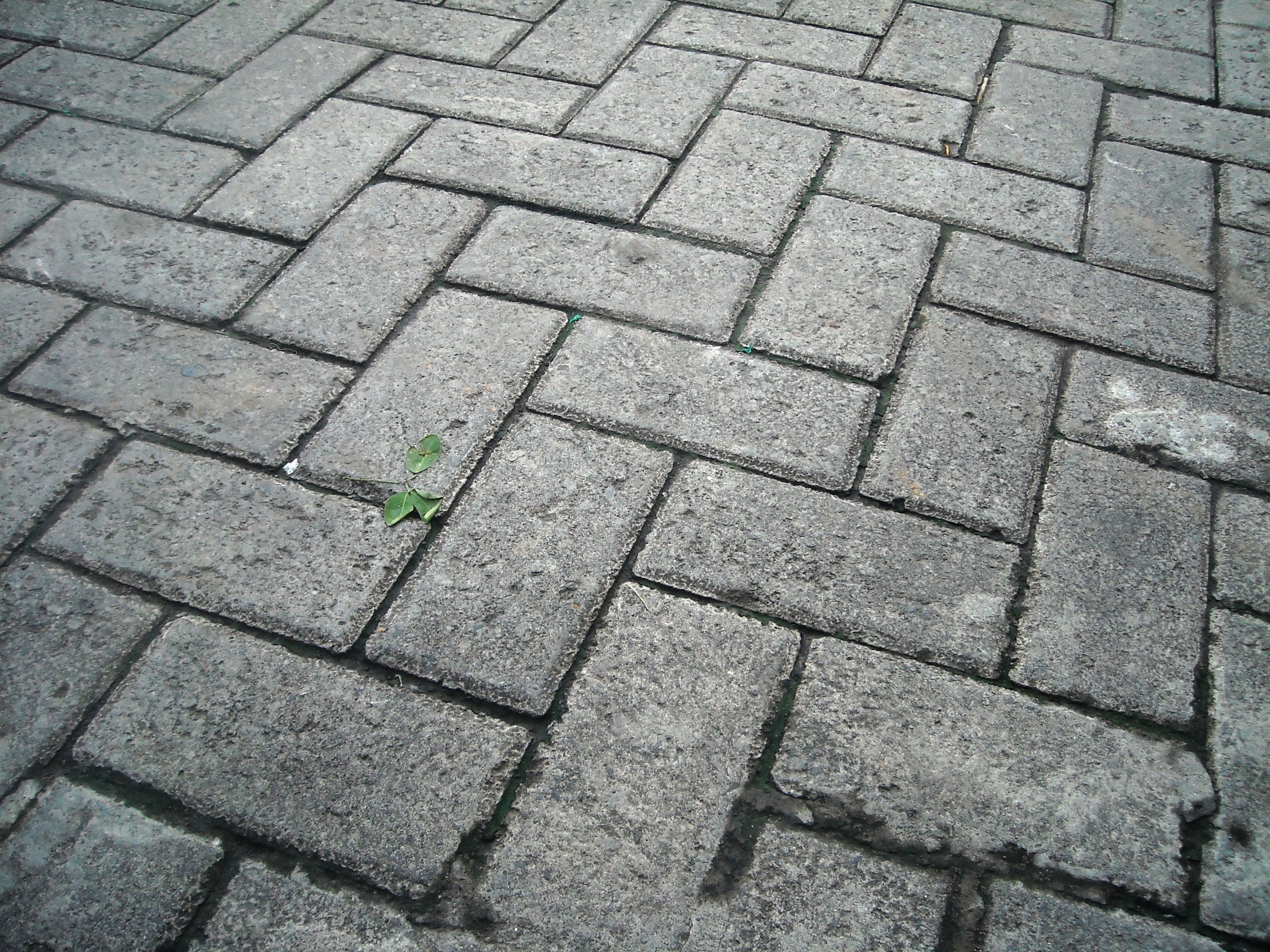 cobblestone, sidewalk, backgrounds, transportation, city, no people, outdoors, pattern, 2K, sunlight, concrete, stone, street, nature, road, square, textured, HD Wallpaper