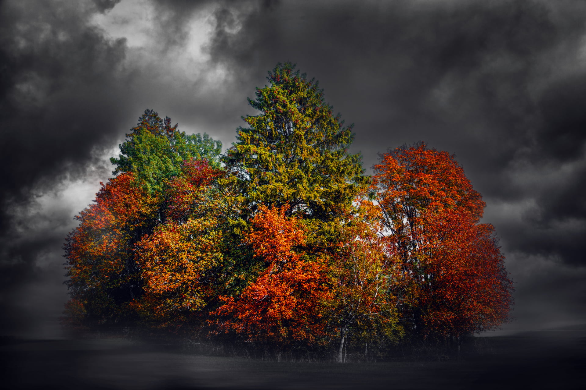 outdoors, overcast, leafed, growth, natural condition, green, autumn, colorful, change, scenics - nature, dark, nature, tranquility, land, storm, autumn collection, HD Wallpaper