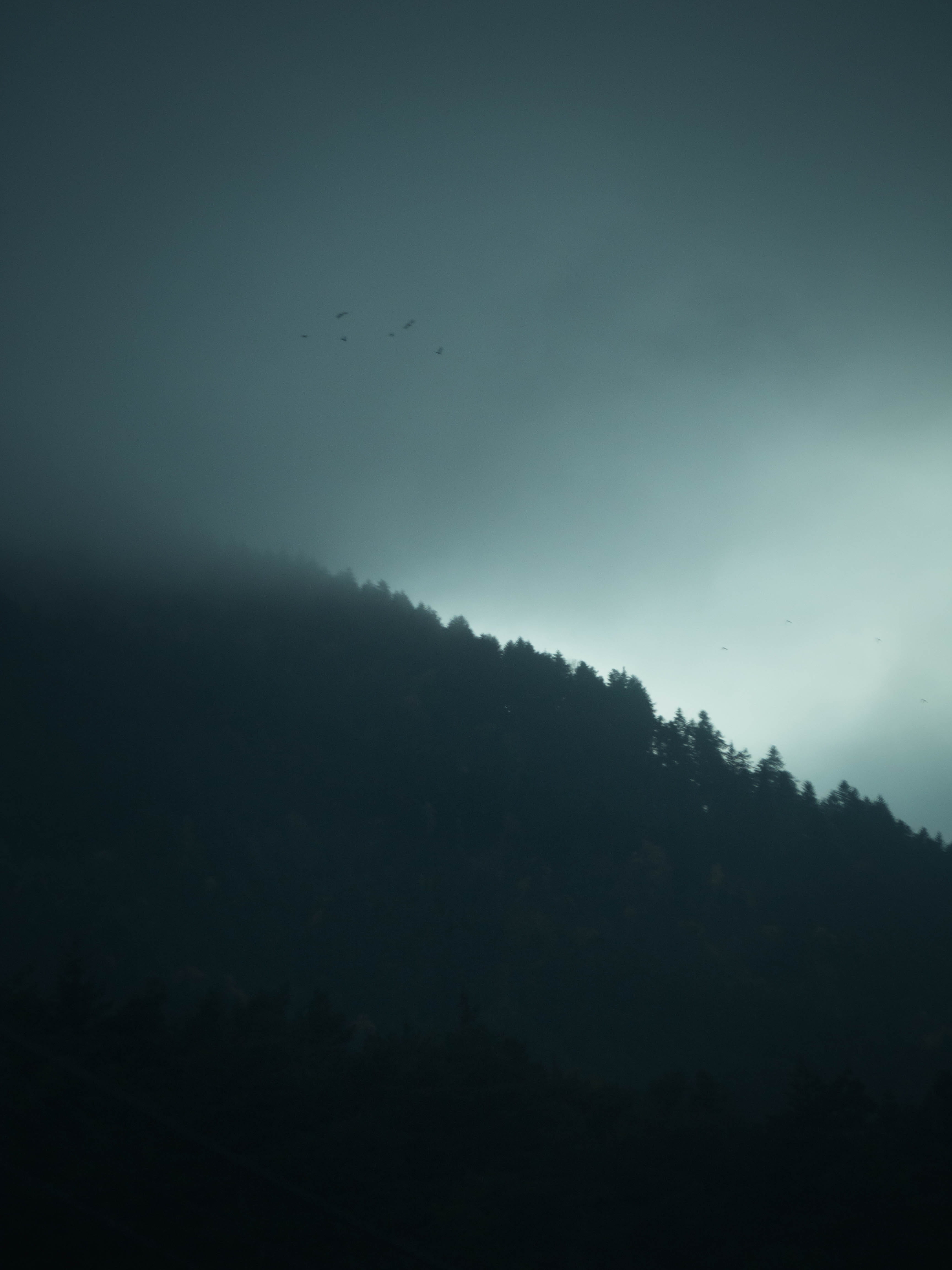 4K, fog, non-urban scene, landscape, beauty in nature, tree, creepy,, background hd, environment, landscapes, corrençon-en-vercors, mountain, Phone HD Wallpaper