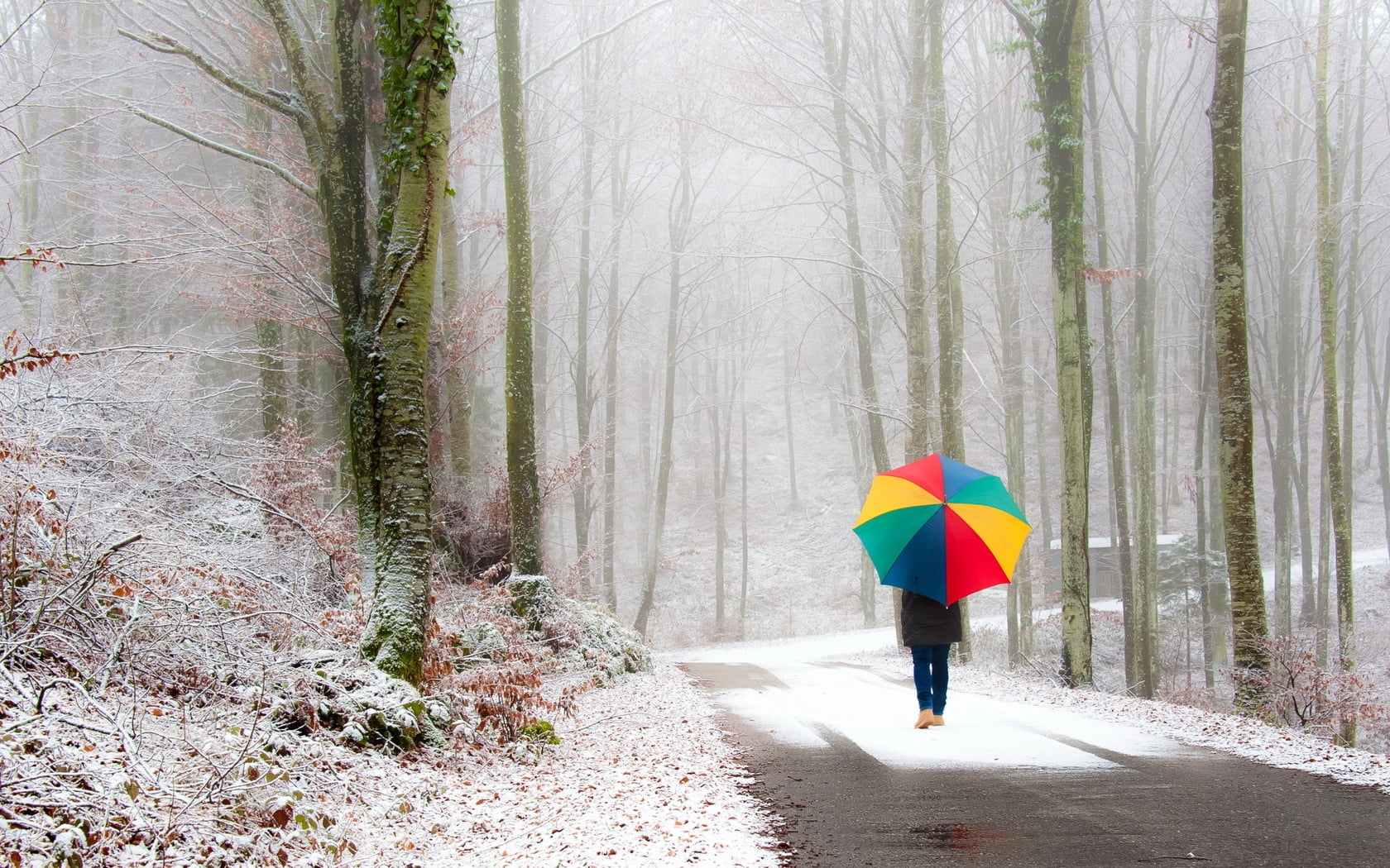 the way forward, winter, warm clothing, land, 720P, caucasian Ethnicity, snow, rear View, security, woodland, autumn, protection, weather, people, outdoors, HD Wallpaper