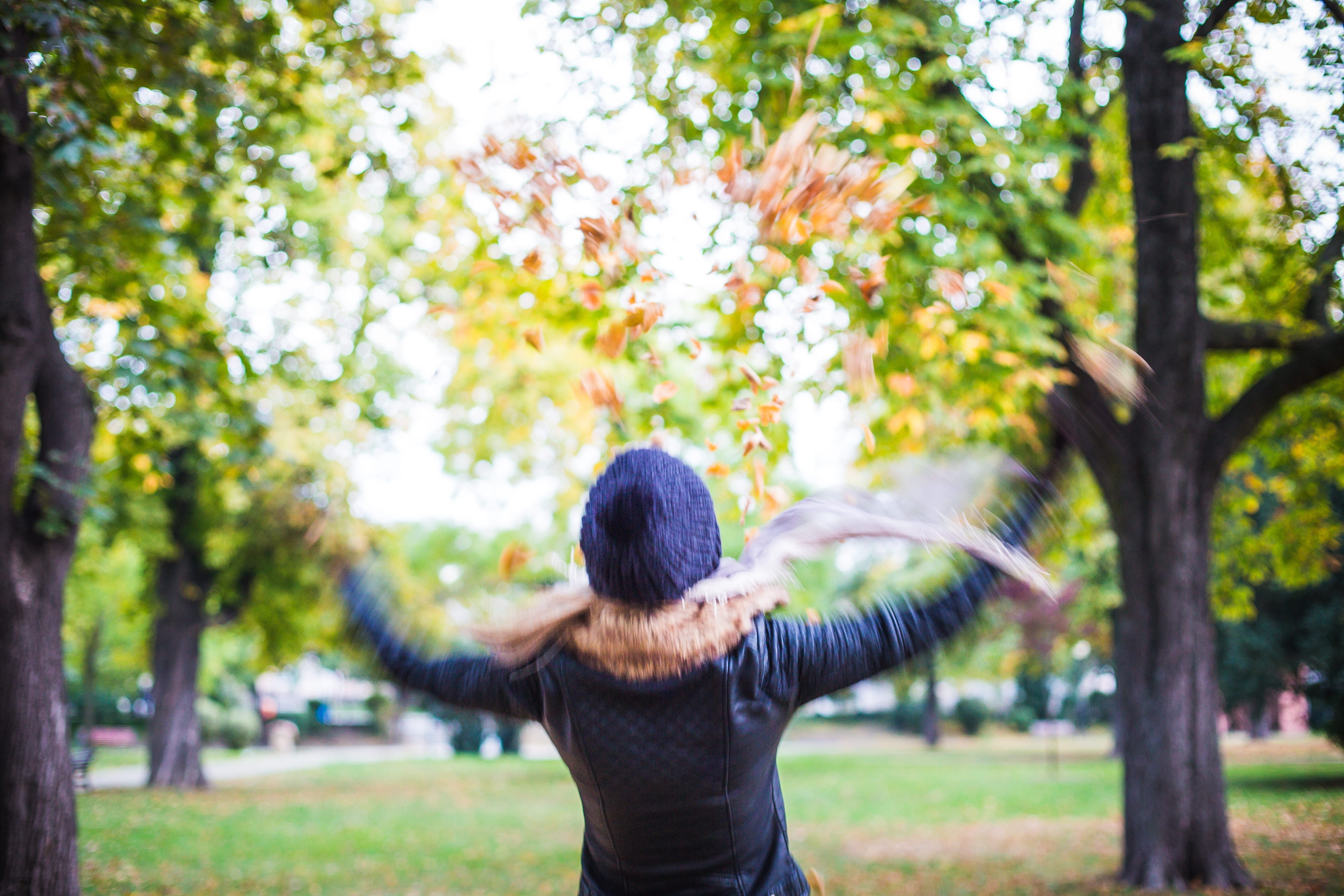 in The Air, one Person, park, human hair, long hair, hat, plant, rear View, young adult, leisure activity, day, people, standing, trees, hair, Girl, men, HD Wallpaper