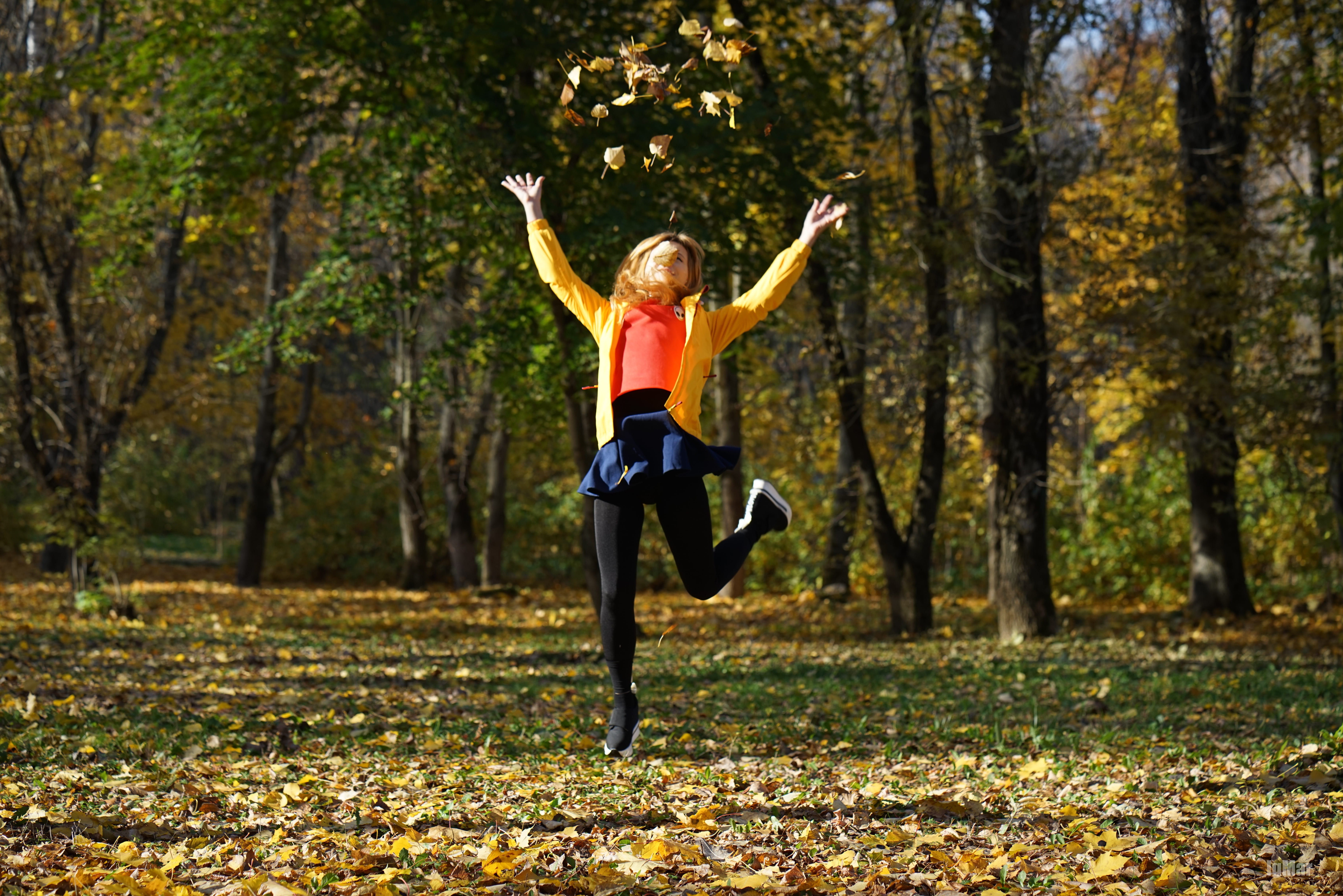 limb, mood, full length, forest, women, exercising, leaves, jump, human limb, hairstyle, hair, change, land, colorful, one person, adult, throwing the leaves, HD Wallpaper