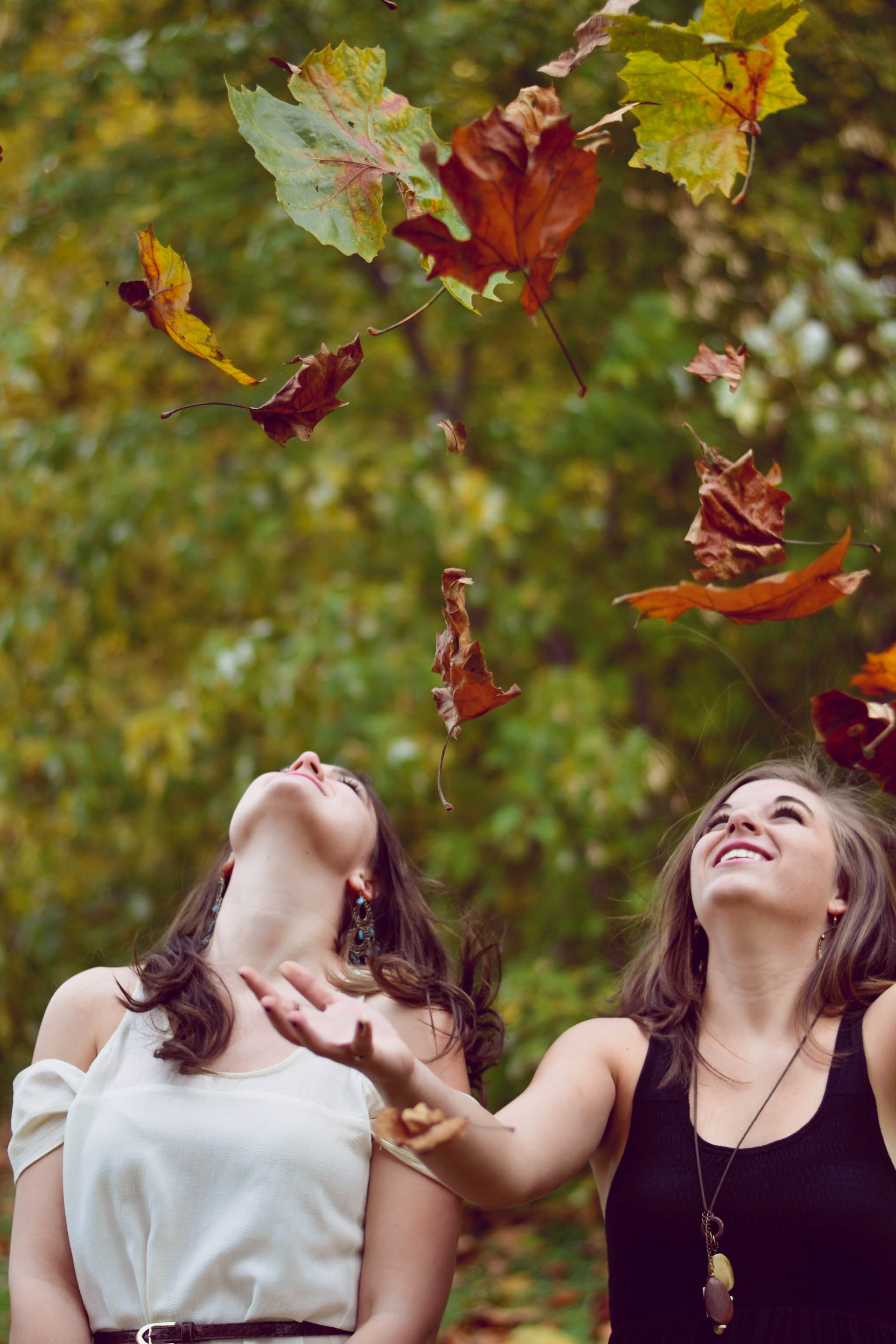 plant, hair, beautiful woman, throwing, 4K, real people, human arm, young adult, portrait, two, leaves, photo, women, outdoors, brown hair, people, daytime, Phone HD Wallpaper