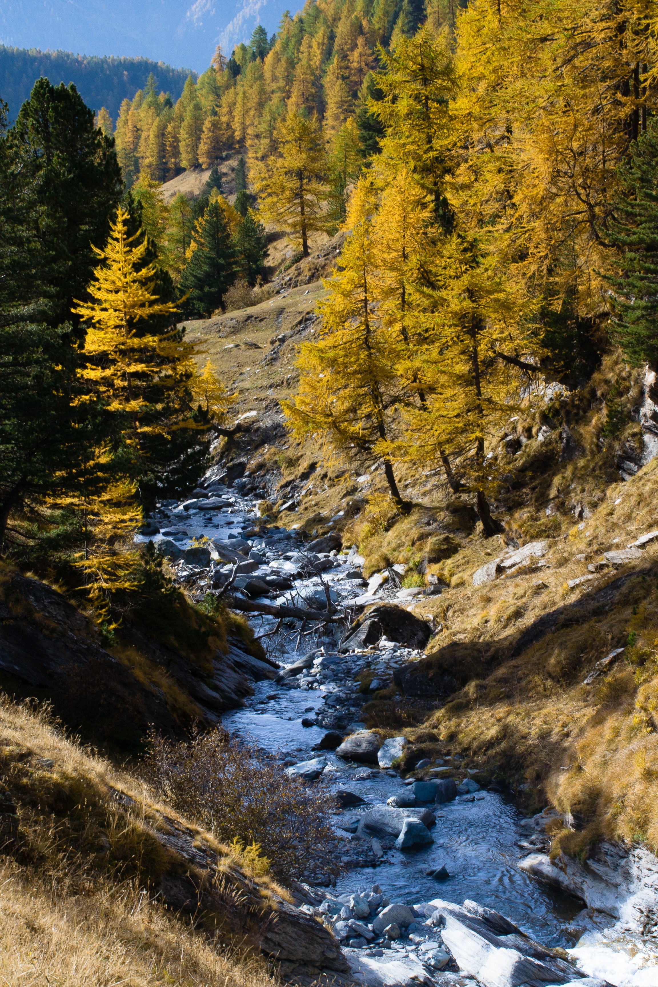 landscape, torrent, mountain, tree, flowing water, tranquility, no people, leaf, stream - flowing water, outdoors, colorful, rock, orange, colors, autumn, Phone HD Wallpaper