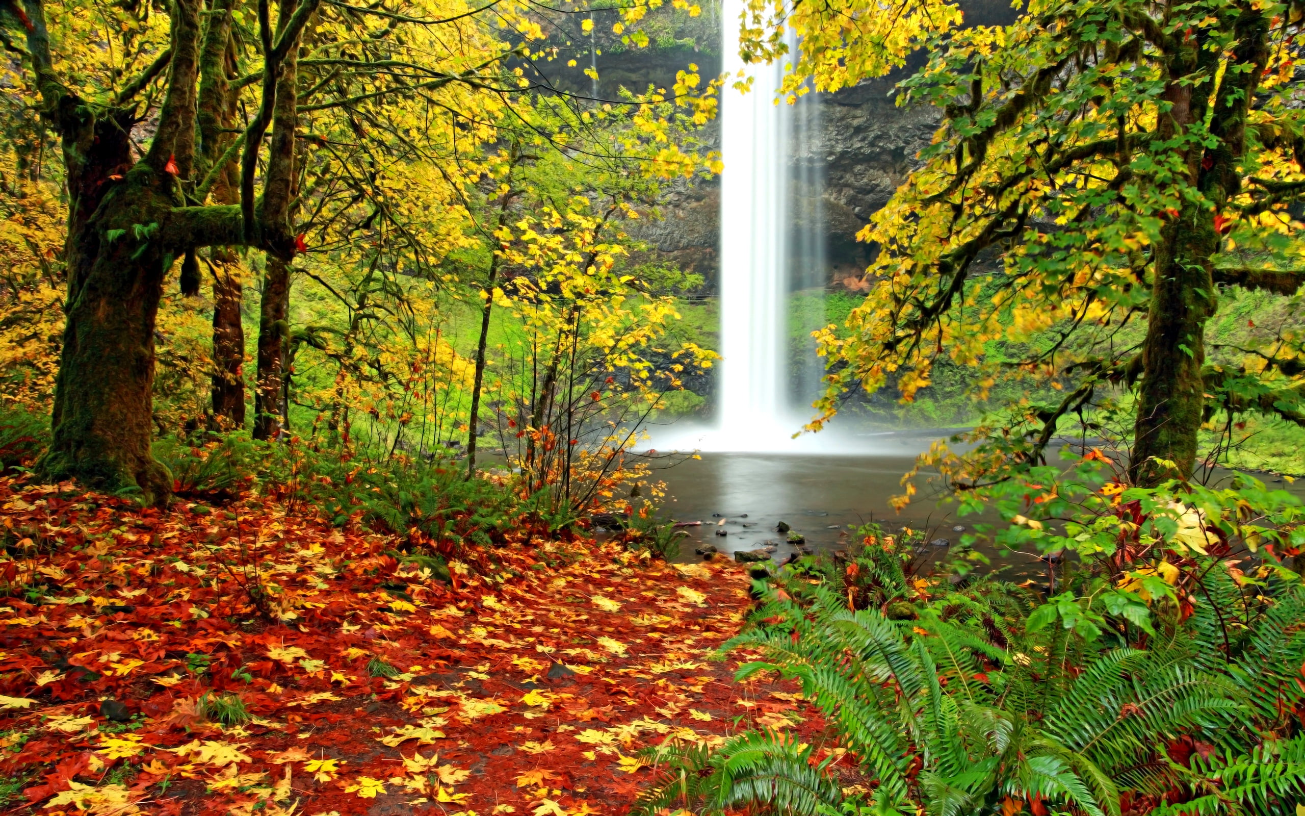 park - Man Made Space, flowing, yellow, nature, tree, season, multi Colored, woodland, leaf, landscape, green Color, flowing water, scenics, sunlight, forest, HD Wallpaper