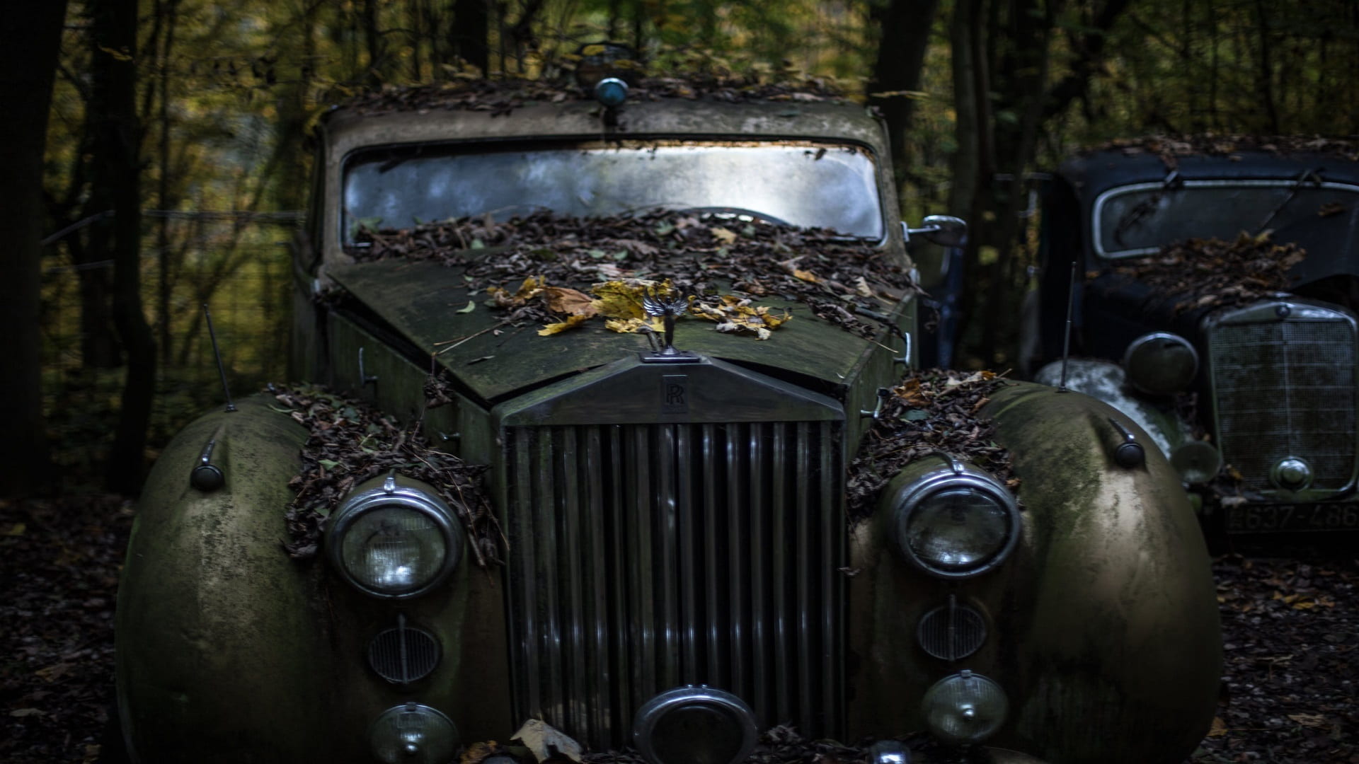 headlights, no people, vehicle, antique, carpet of leaves, deterioration, abandoned, beautiful old car, landscape, still lifes, trees, dead leaf, old, metal, HD Wallpaper