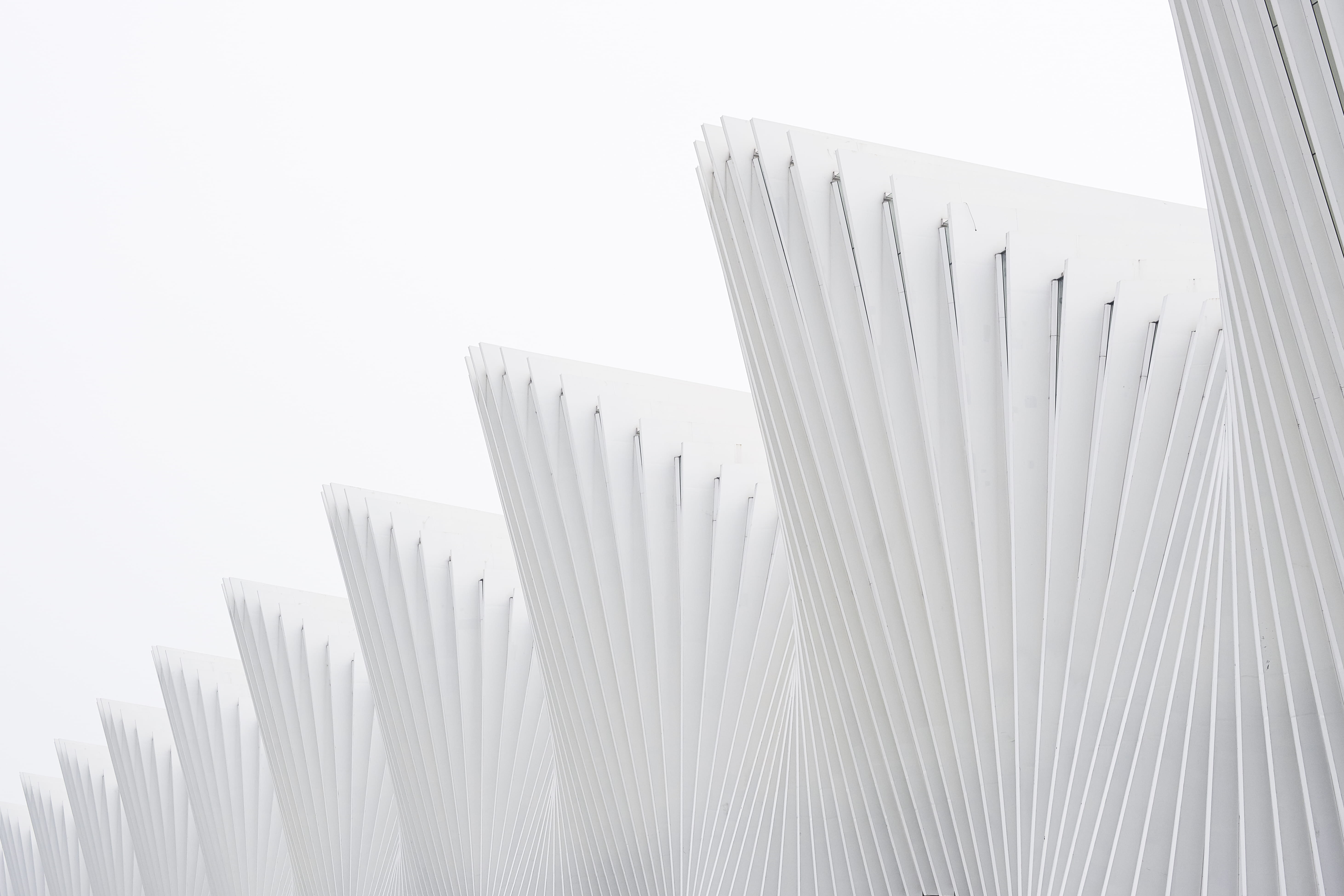 built structure, white color, desktop backgrounds, simplicity, facade, close-up, pattern, sky, low angle view, illustration, skyscraper, metropolitan, 5K, HD Wallpaper