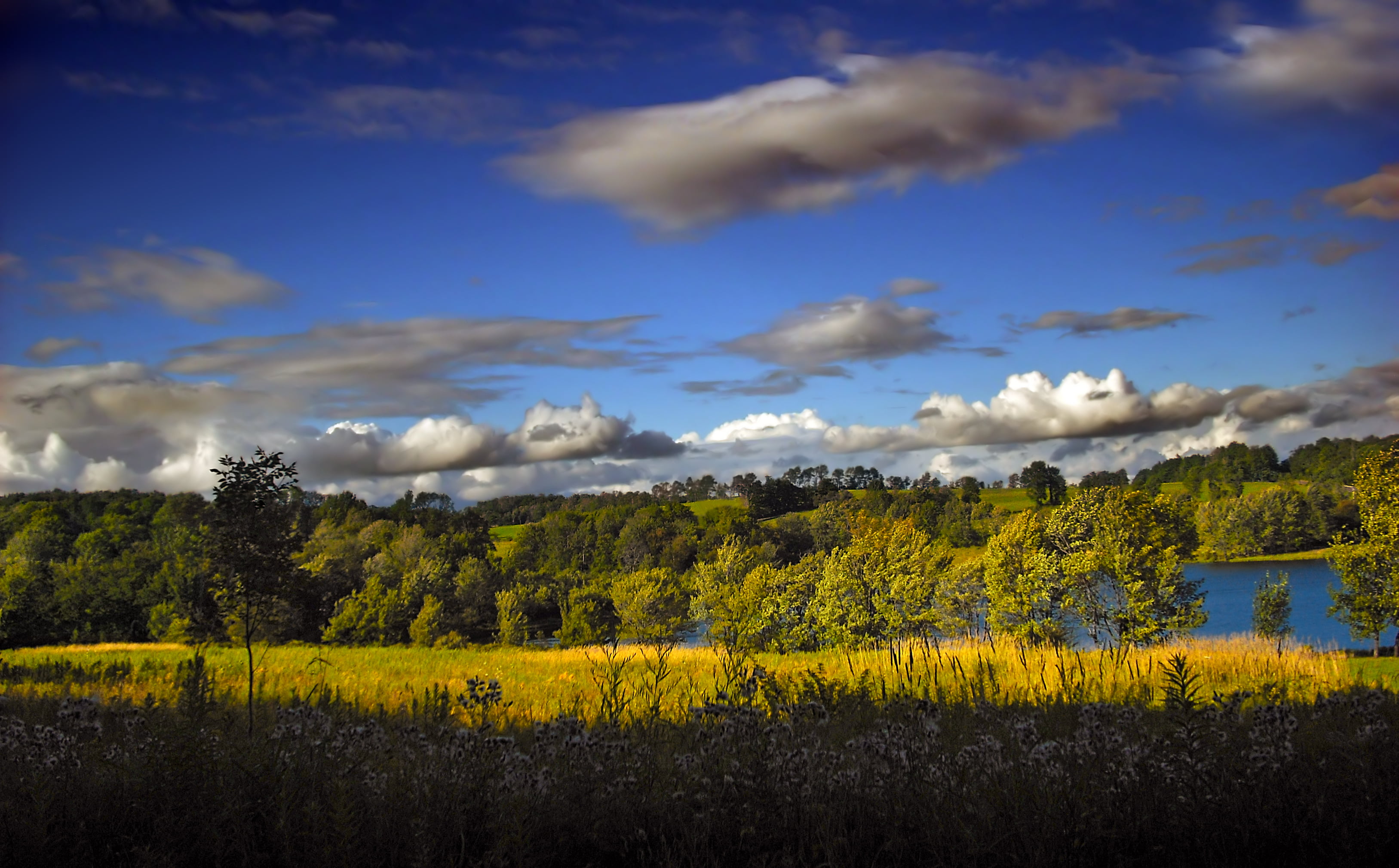 cloudy, nature, outdoors, daytime, Pennsylvania, trees, Dyberry Township, Route 670, body of water, creative commons, Wayne County, green, cumulus, 2K, HD Wallpaper