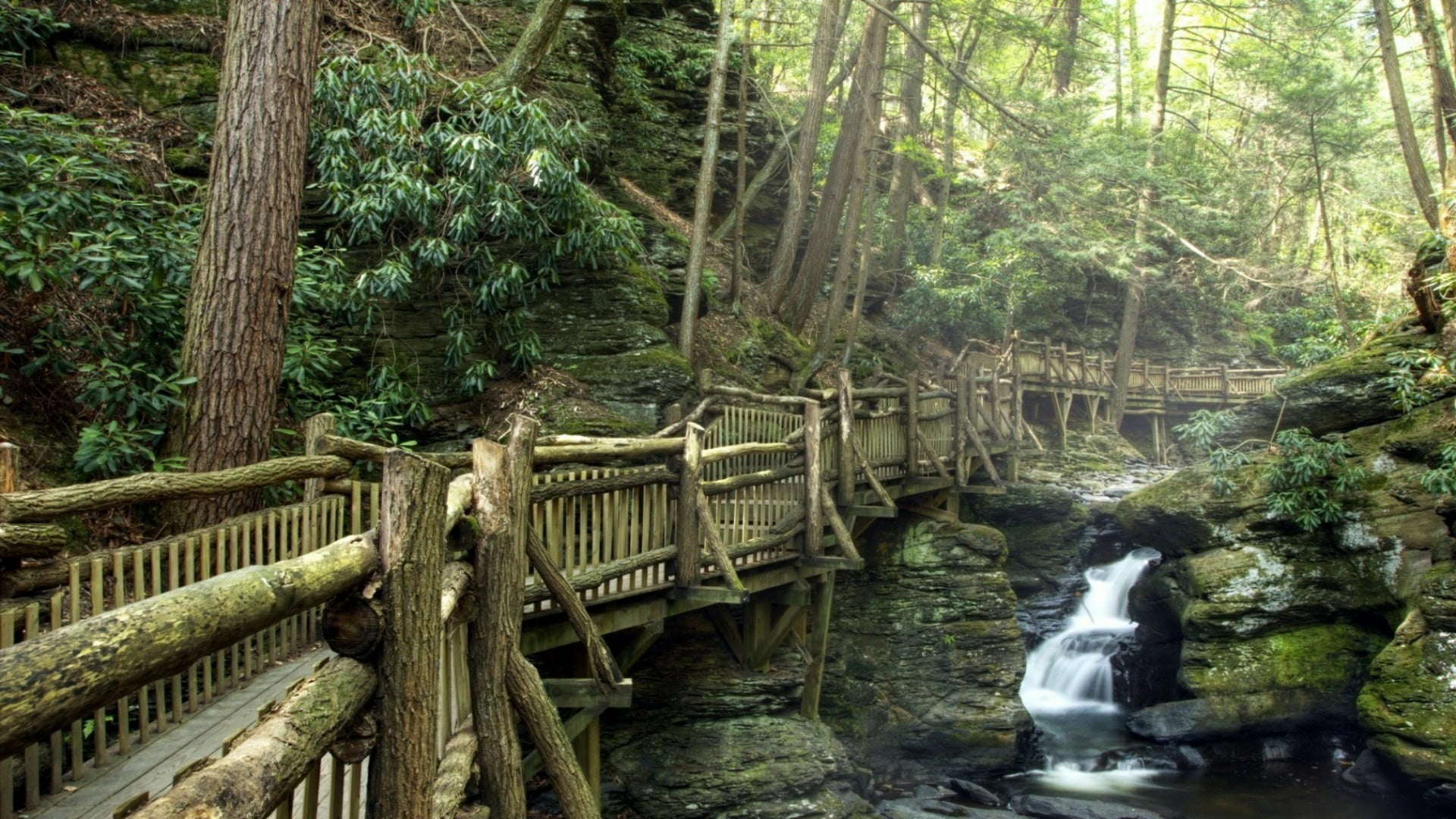 footbridge, motion, lush foliage, tranquility, flowing water, walkway, plant, water, growth, non-urban scene, long exposure, bushkill falls, green color, HD Wallpaper