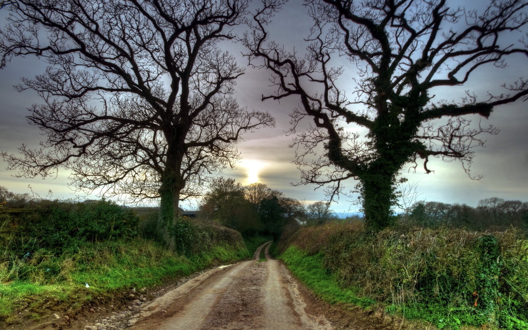 cloudscape, dirt Road, tree, no People, sunset, day, outdoors, 720P, season, dusk, riddle, environment, road, light - Natural Phenomenon, morning, grass, HD Wallpaper